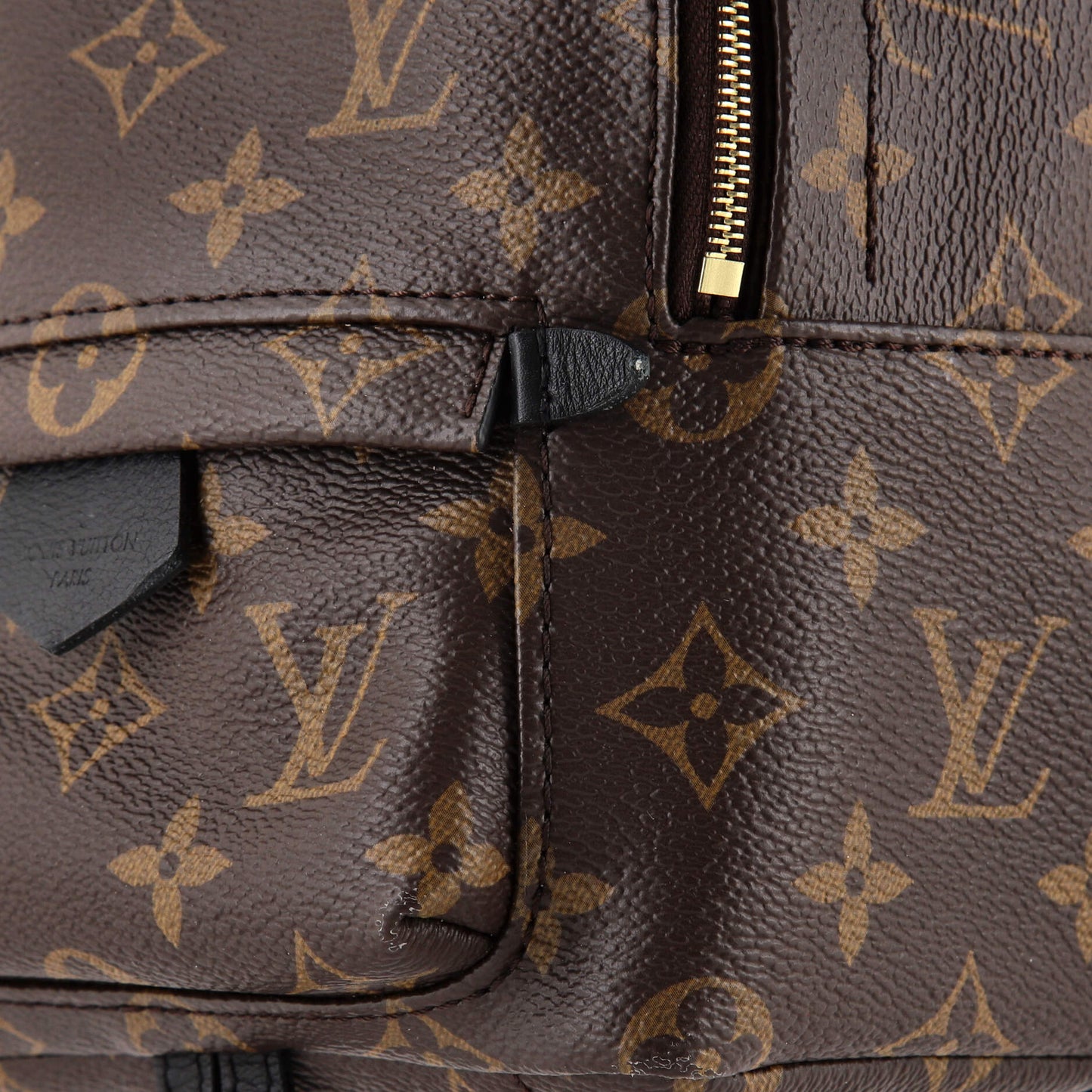 Palm Springs Backpack Monogram Canvas Mini