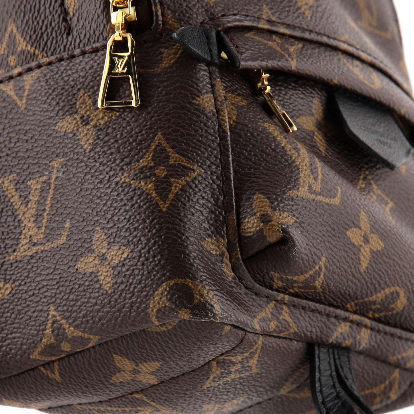 Palm Springs Backpack Monogram Canvas Mini