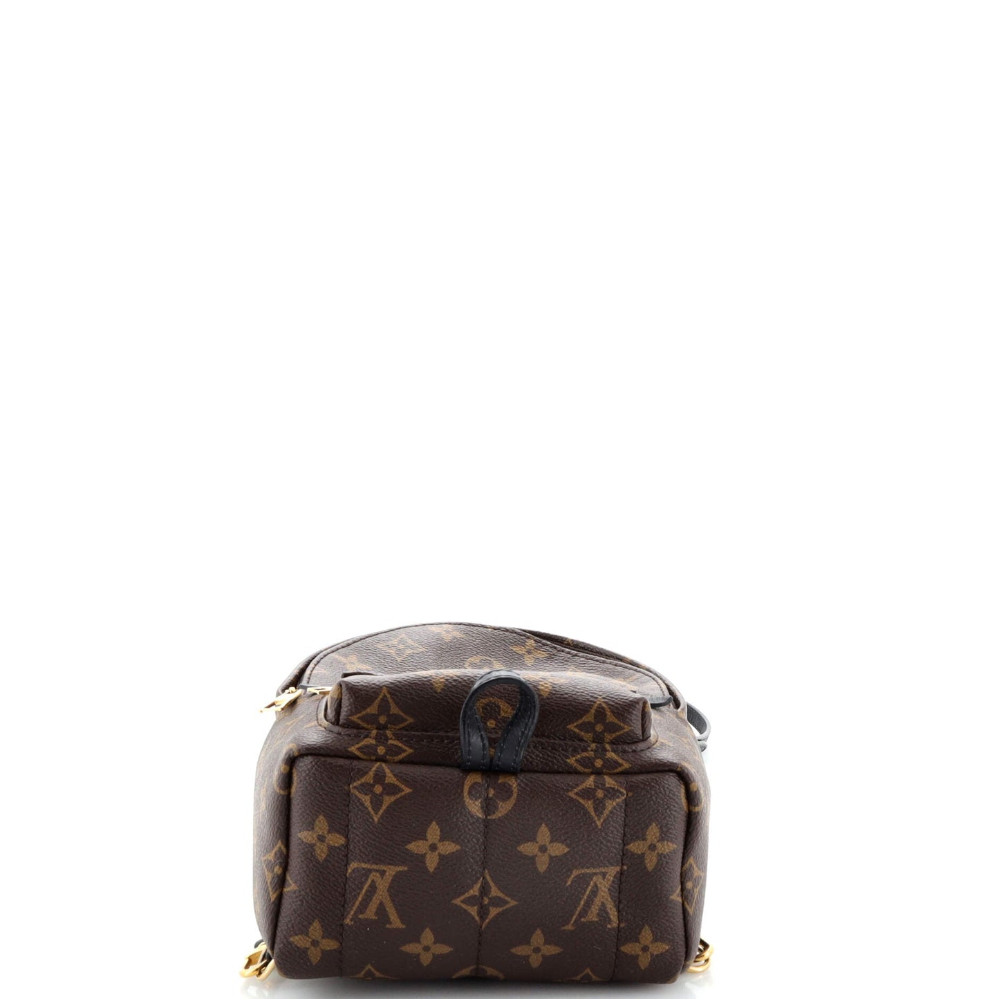 Palm Springs Backpack Monogram Canvas Mini