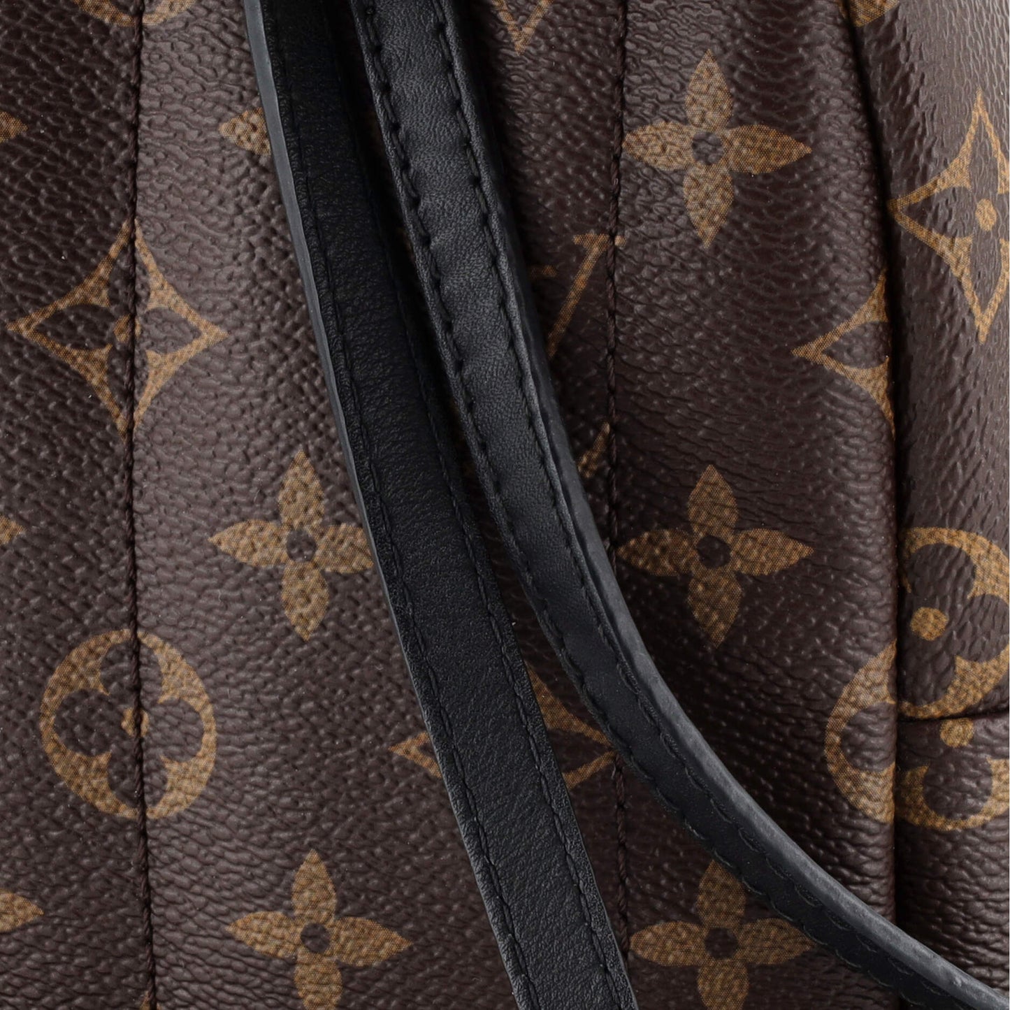 Palm Springs Backpack Monogram Canvas Mini