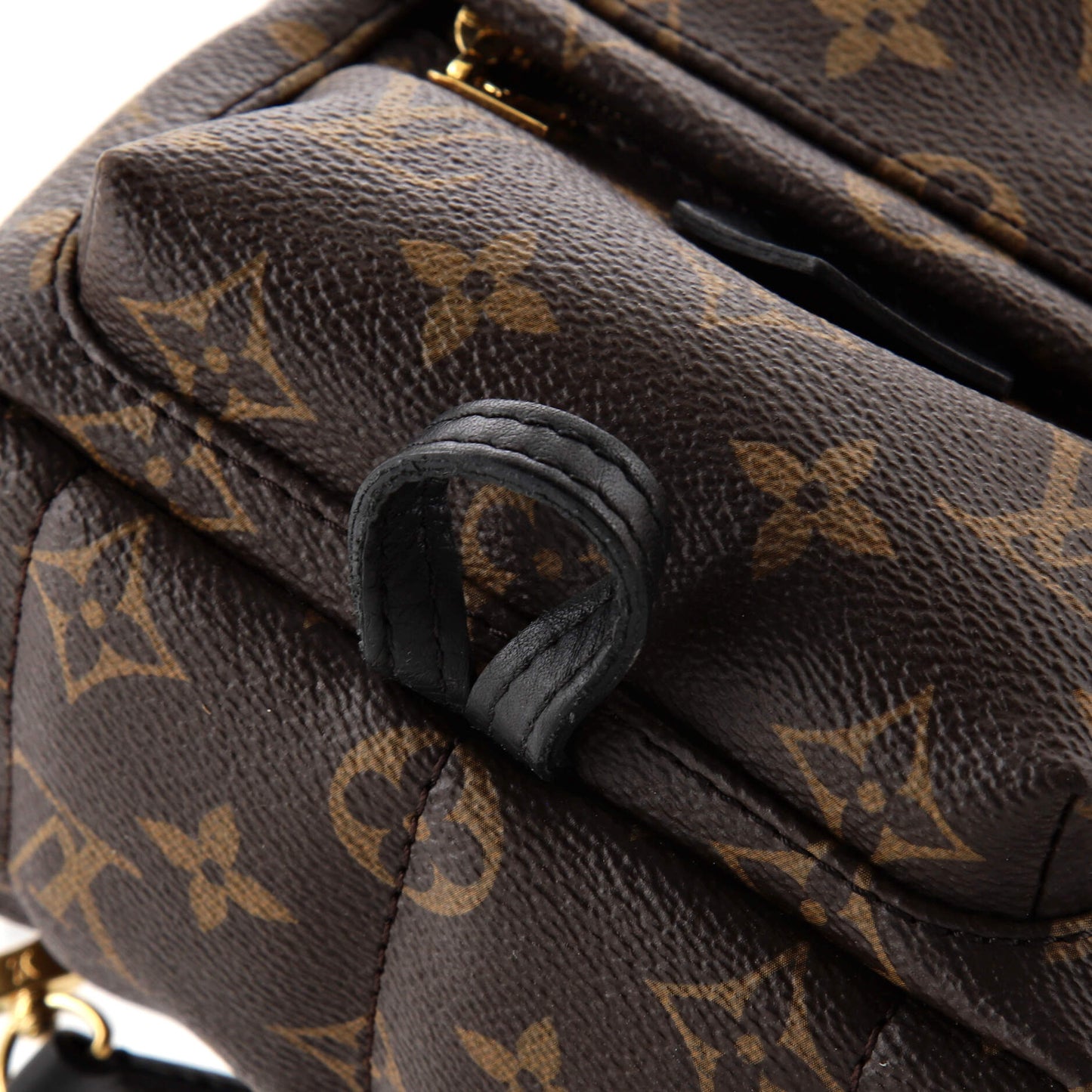 Palm Springs Backpack Monogram Canvas Mini