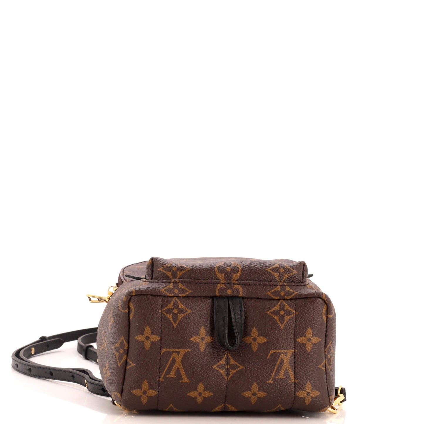 Palm Springs Backpack Monogram Canvas Mini