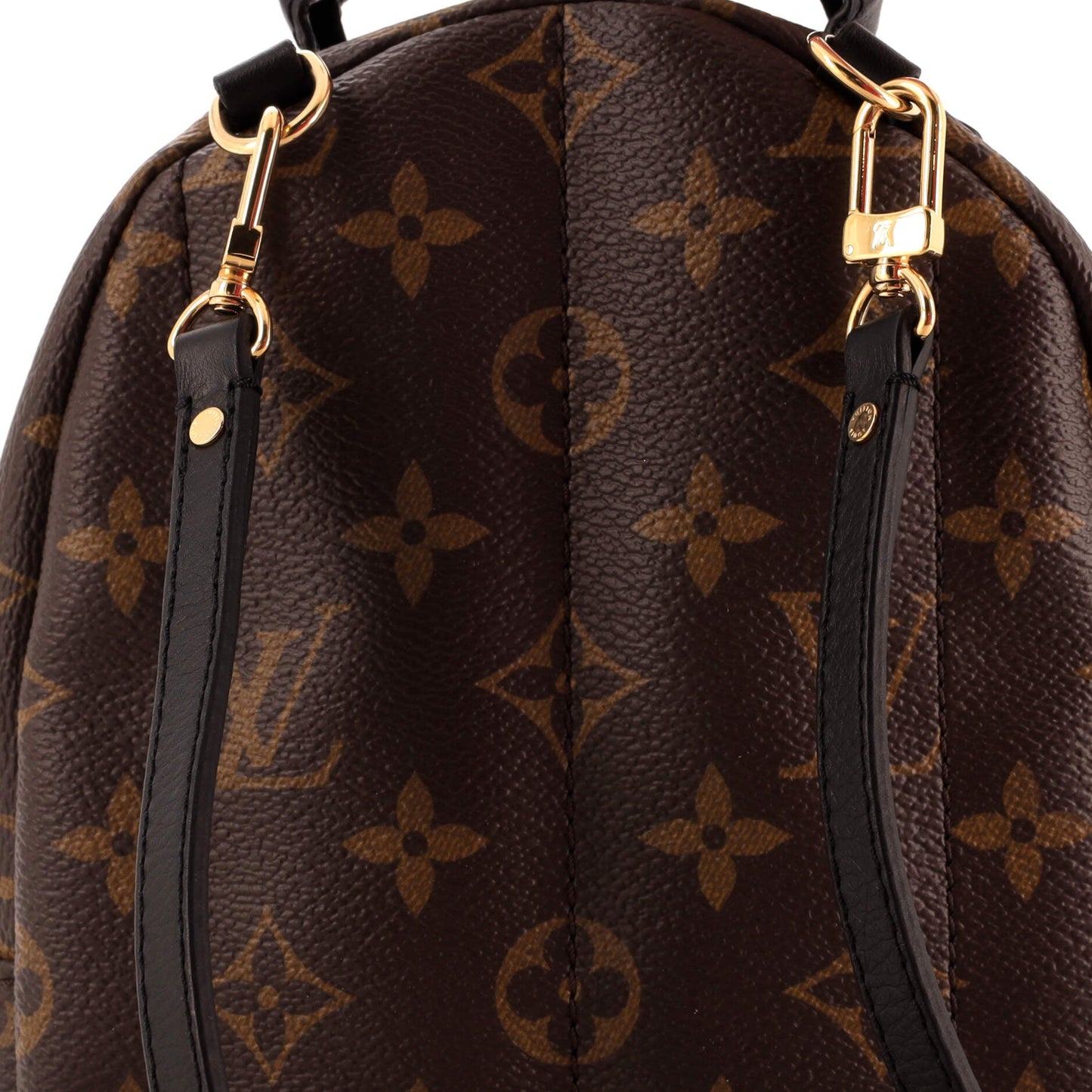 Palm Springs Backpack Monogram Canvas Mini