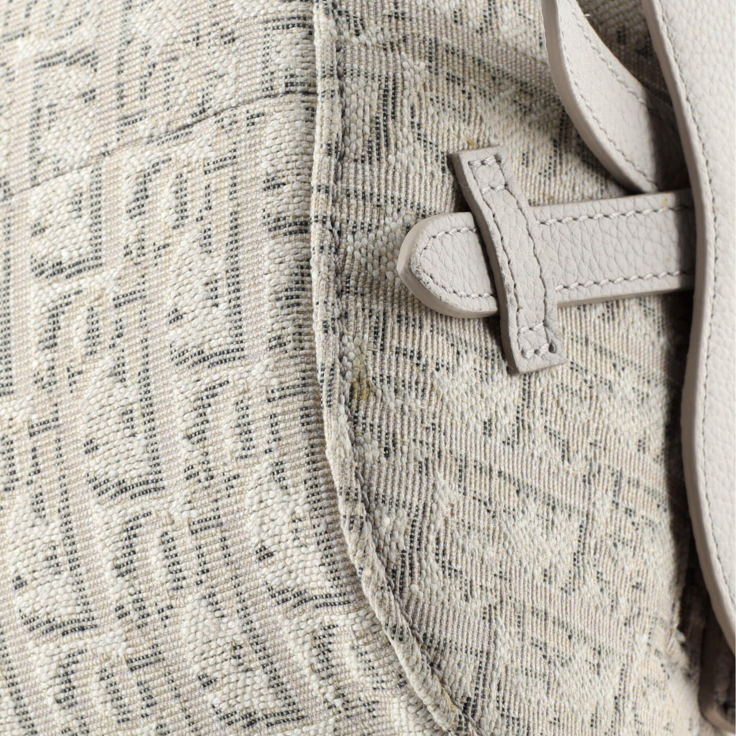 Saddle Backpack Oblique Canvas Mini