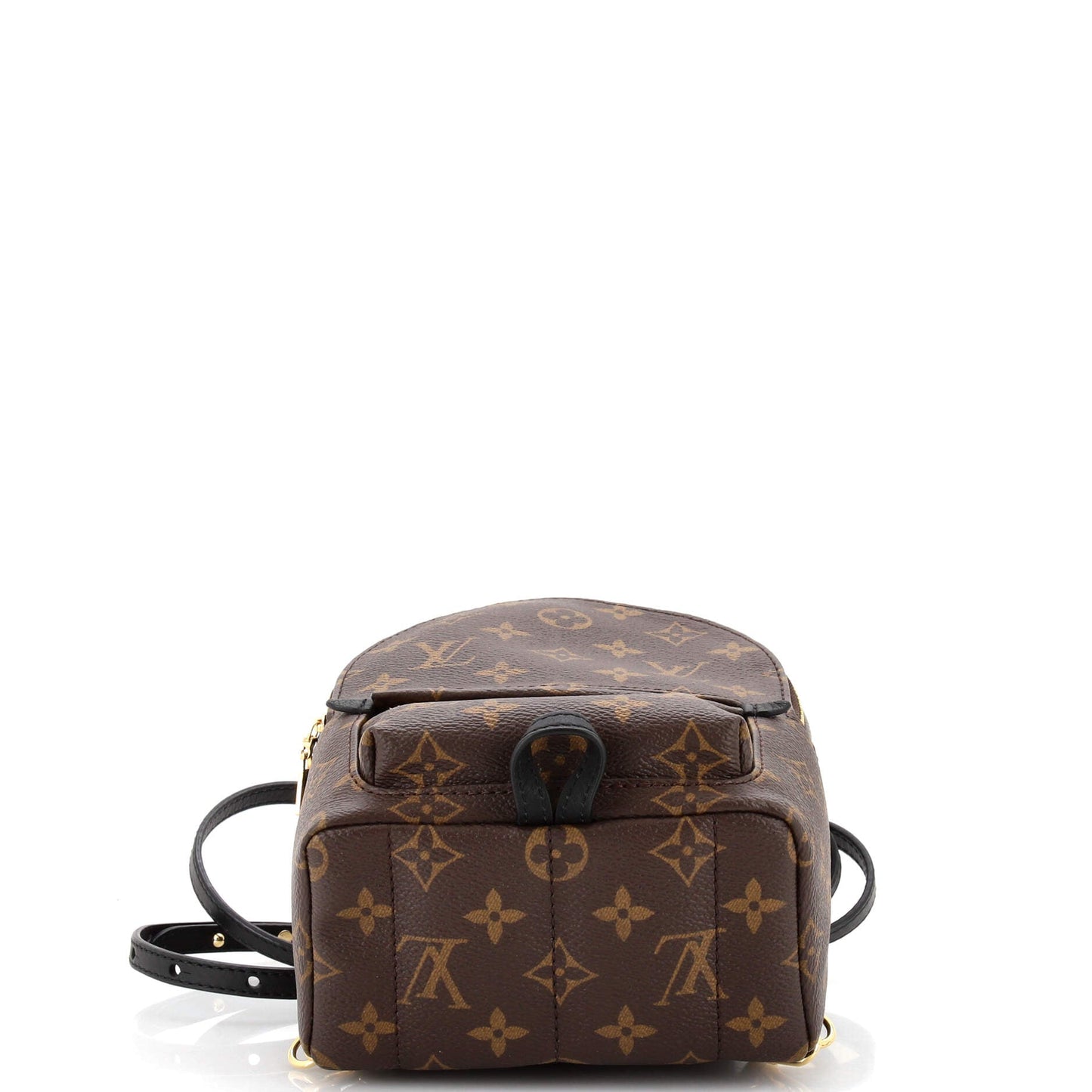Palm Springs Backpack Monogram Canvas Mini