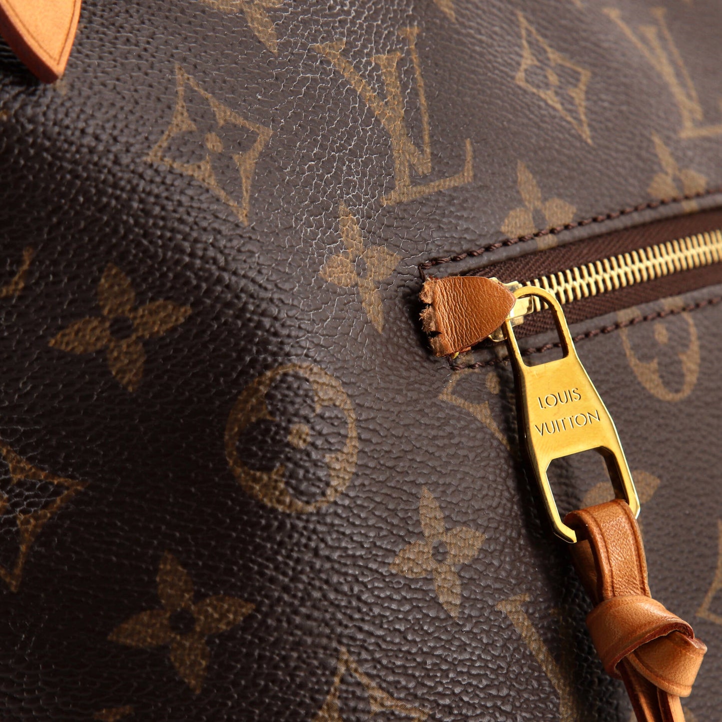 Iena Tote Monogram Canvas MM