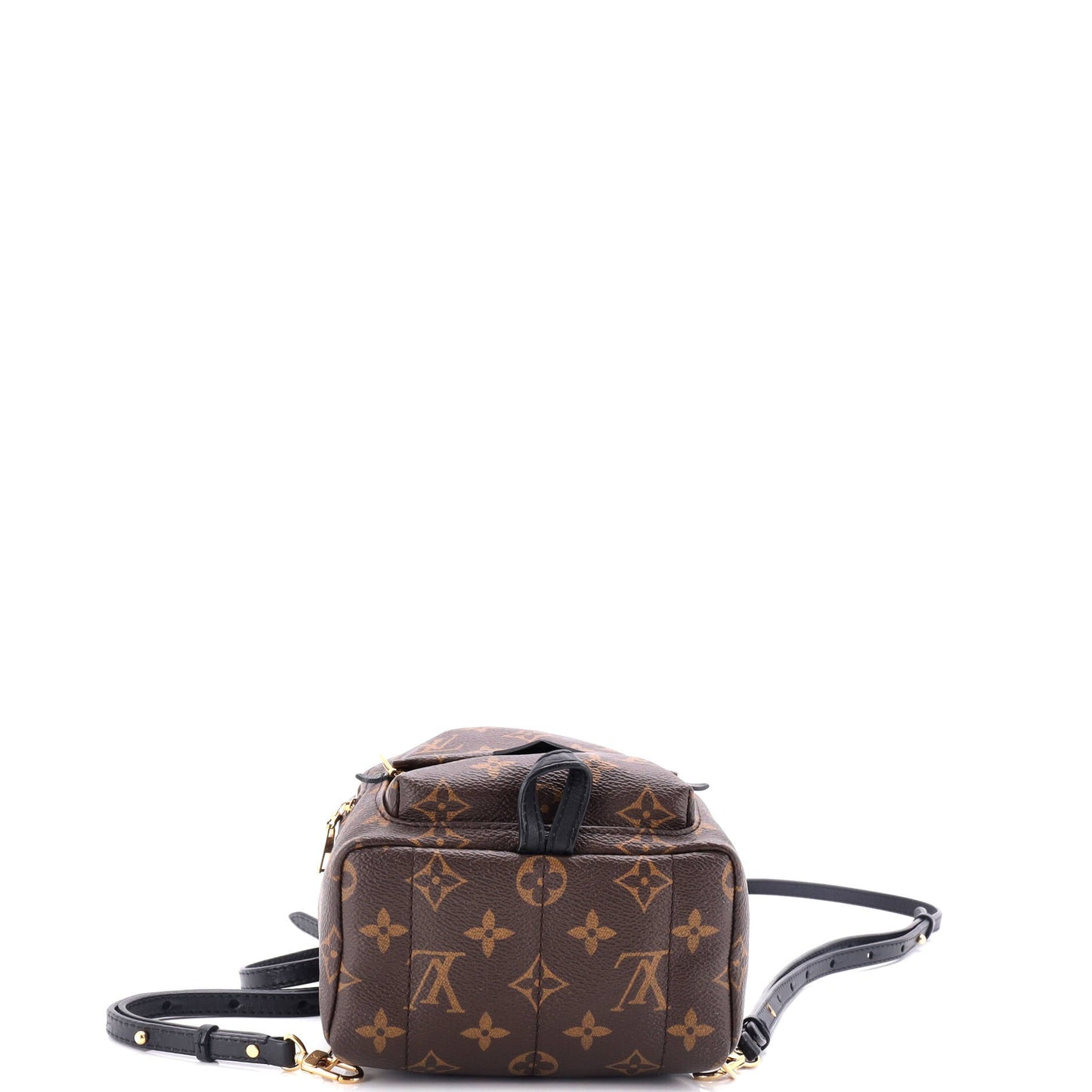 Palm Springs Backpack Monogram Canvas Mini