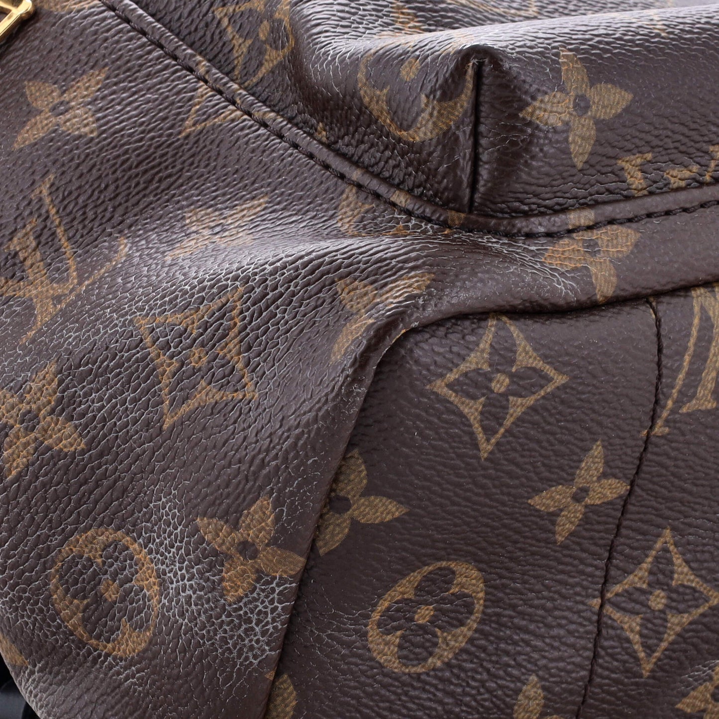 Palm Springs Backpack Monogram Canvas PM