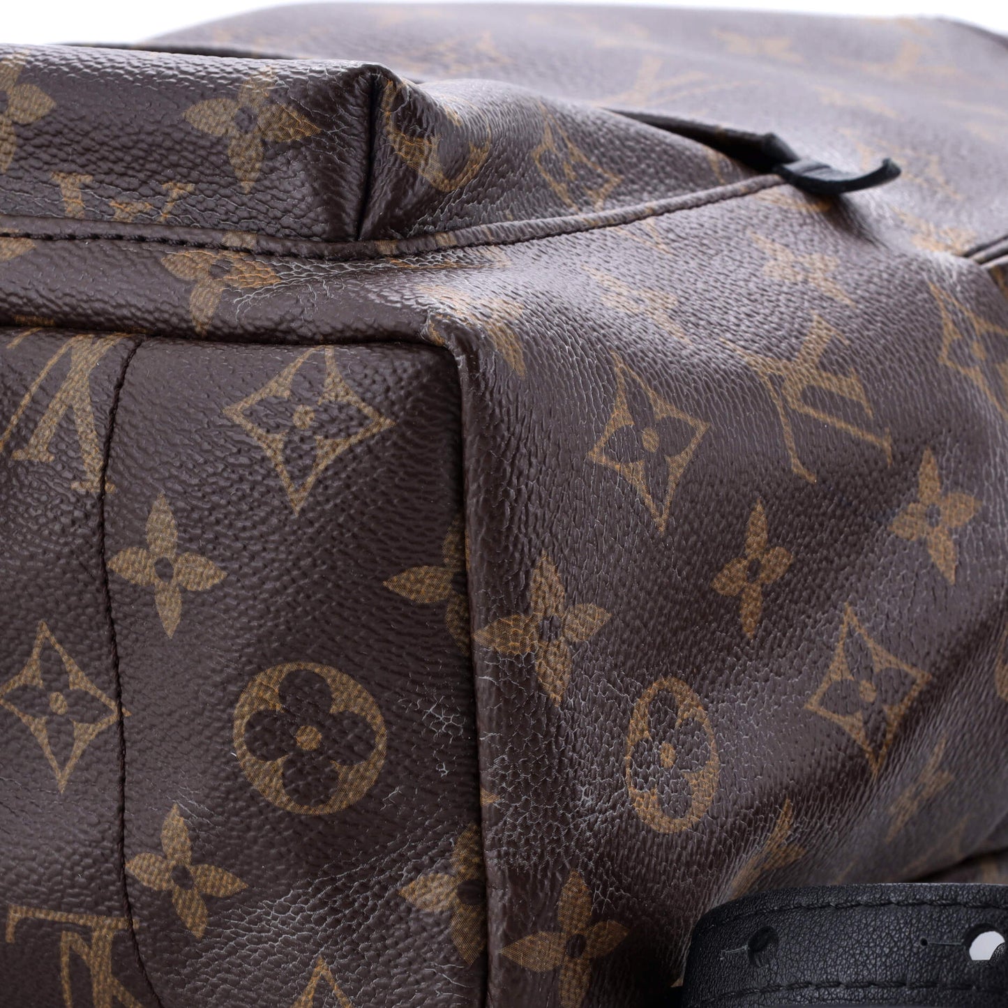 Palm Springs Backpack Monogram Canvas PM