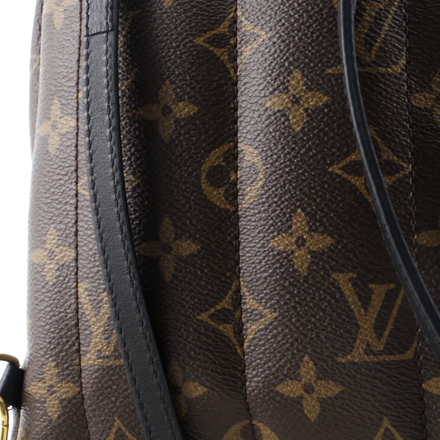 Palm Springs Backpack Monogram Canvas Mini