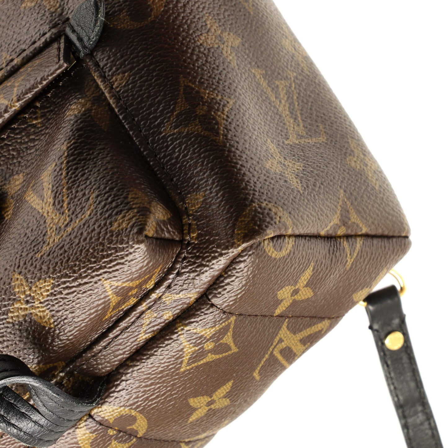 Palm Springs Backpack Monogram Canvas Mini