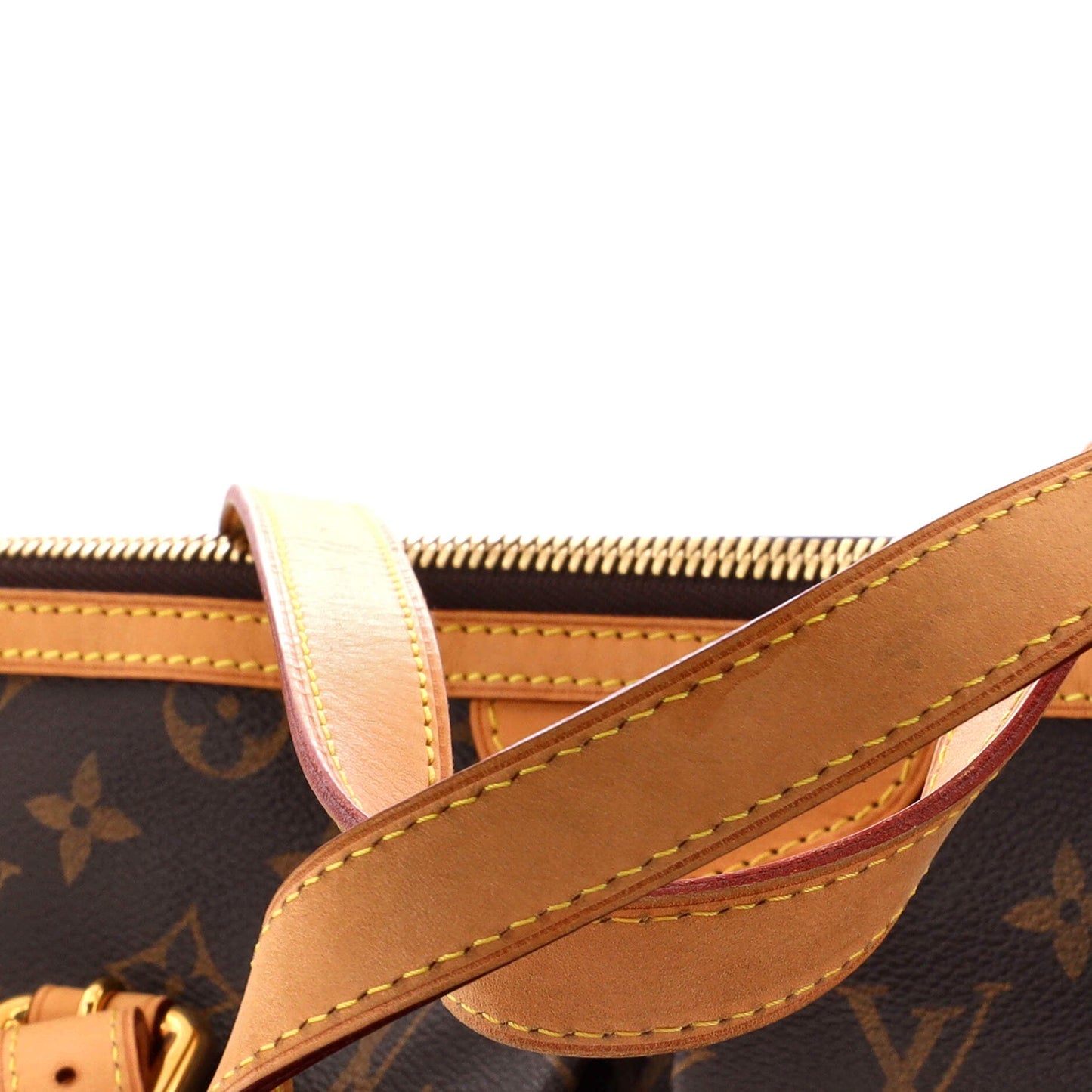Palermo Handbag Monogram Canvas GM