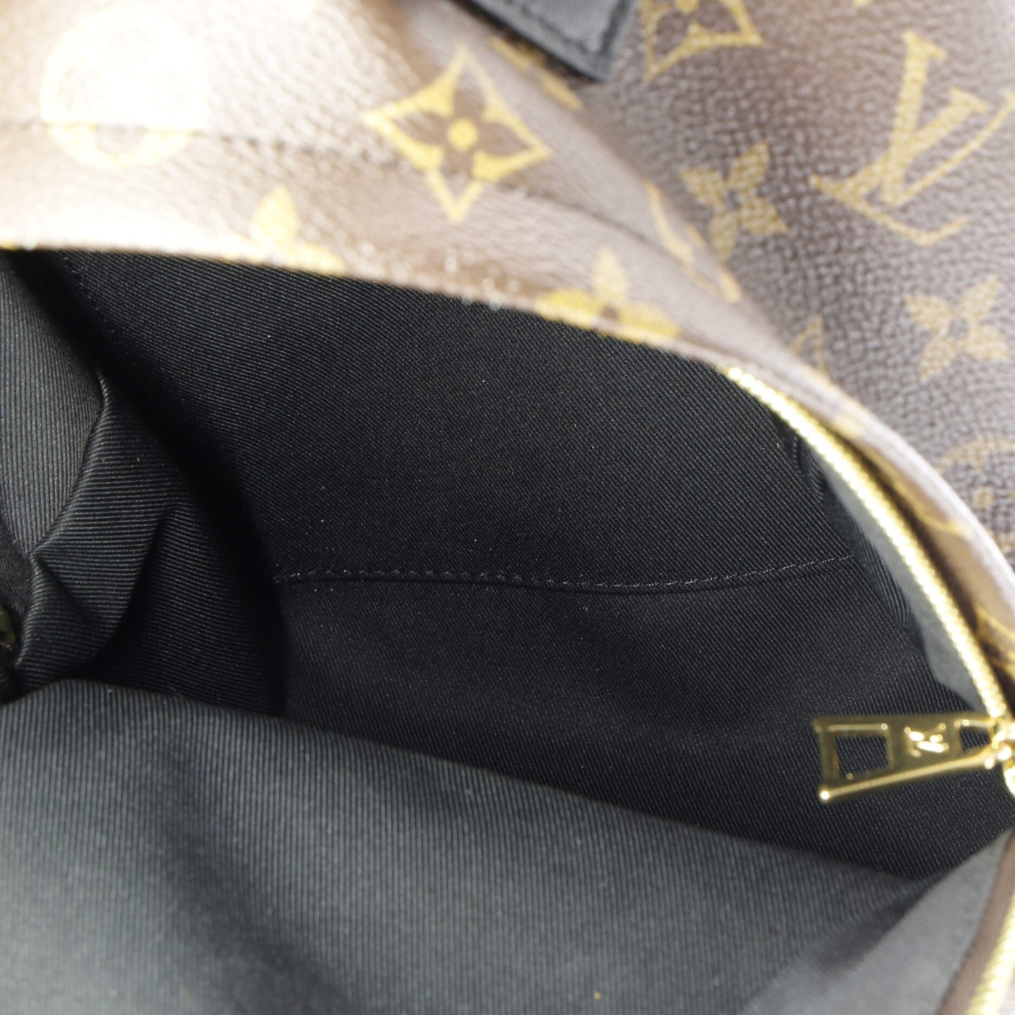 Palm Springs Backpack Monogram Canvas PM