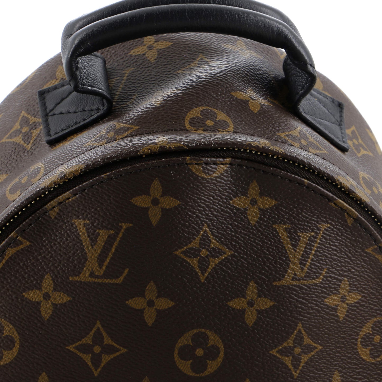 Palm Springs Backpack Monogram Canvas PM