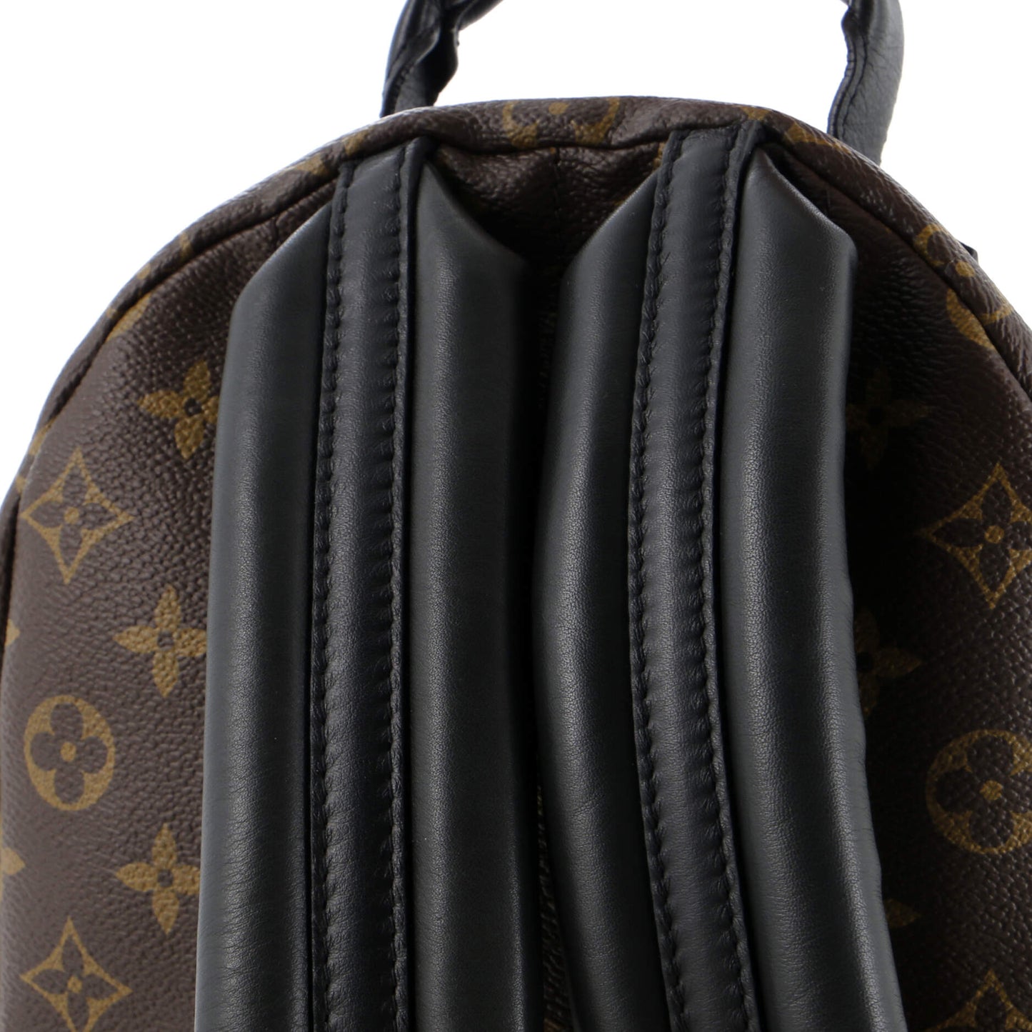 Palm Springs Backpack Monogram Canvas PM