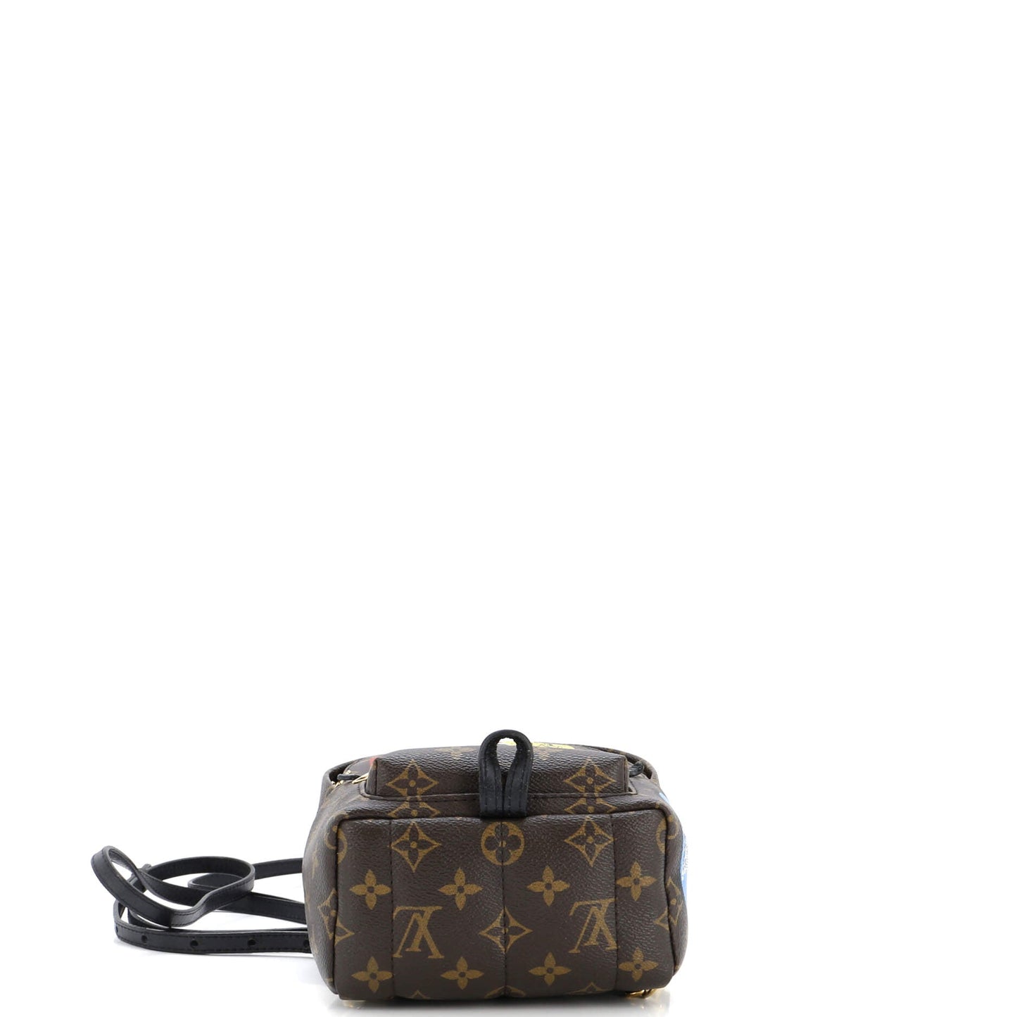 Palm Springs Backpack Limited Edition World Tour Monogram Canvas Mini