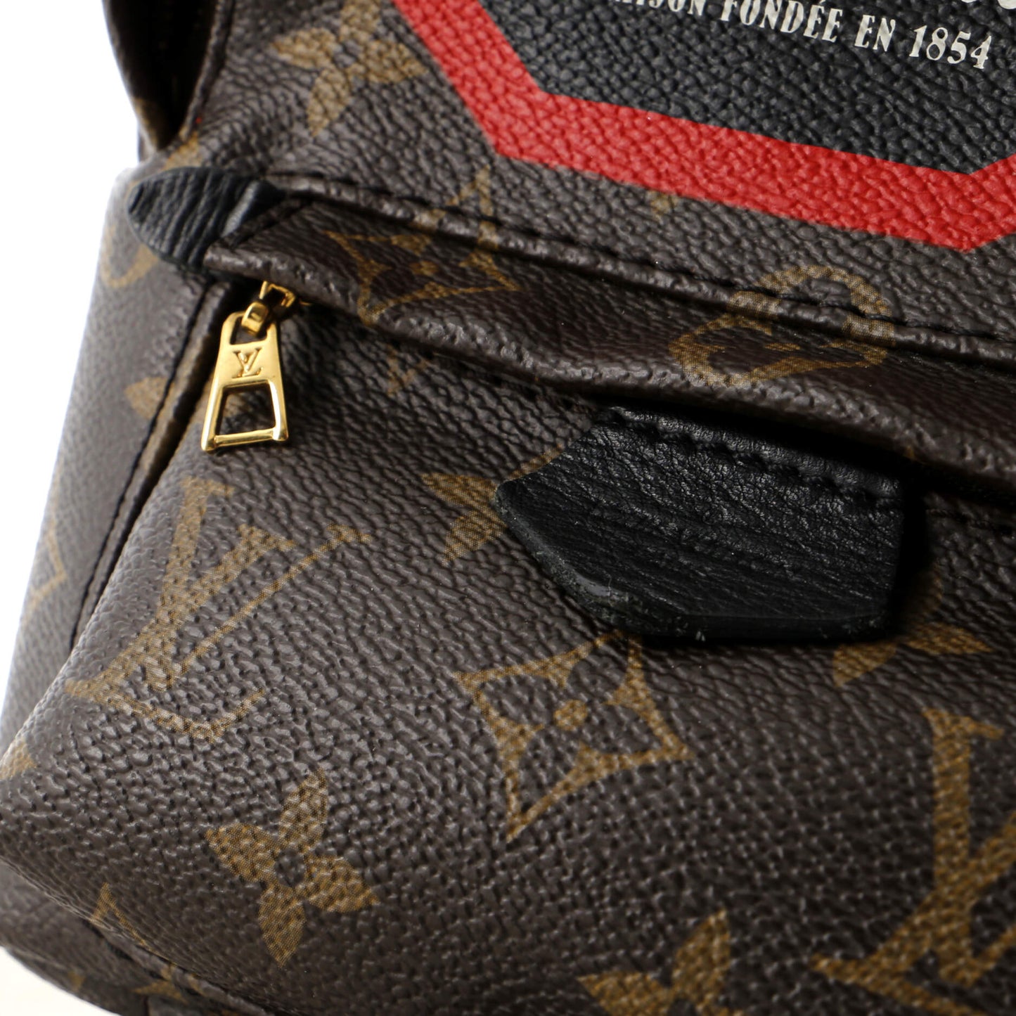 Palm Springs Backpack Limited Edition World Tour Monogram Canvas Mini