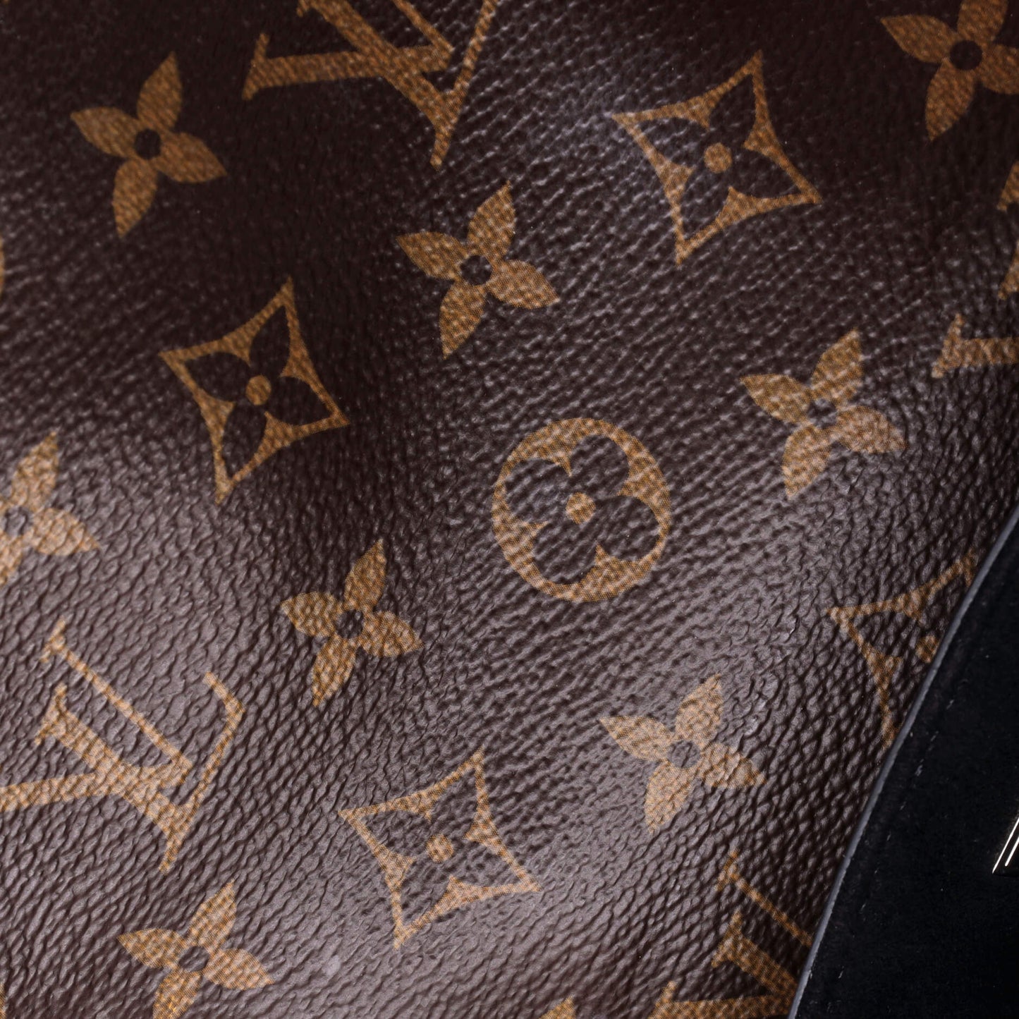 Hot Springs Backpack Vernis with Monogram Canvas