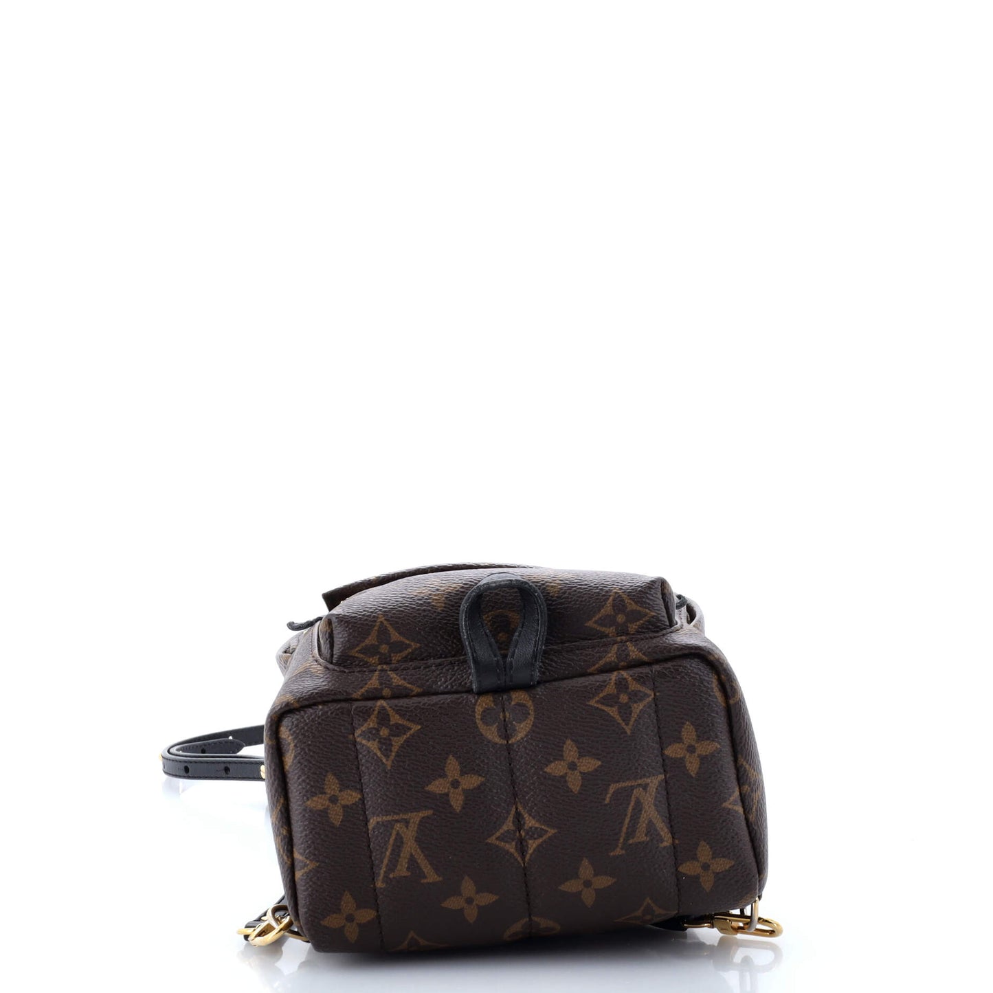 Palm Springs Backpack Monogram Canvas Mini