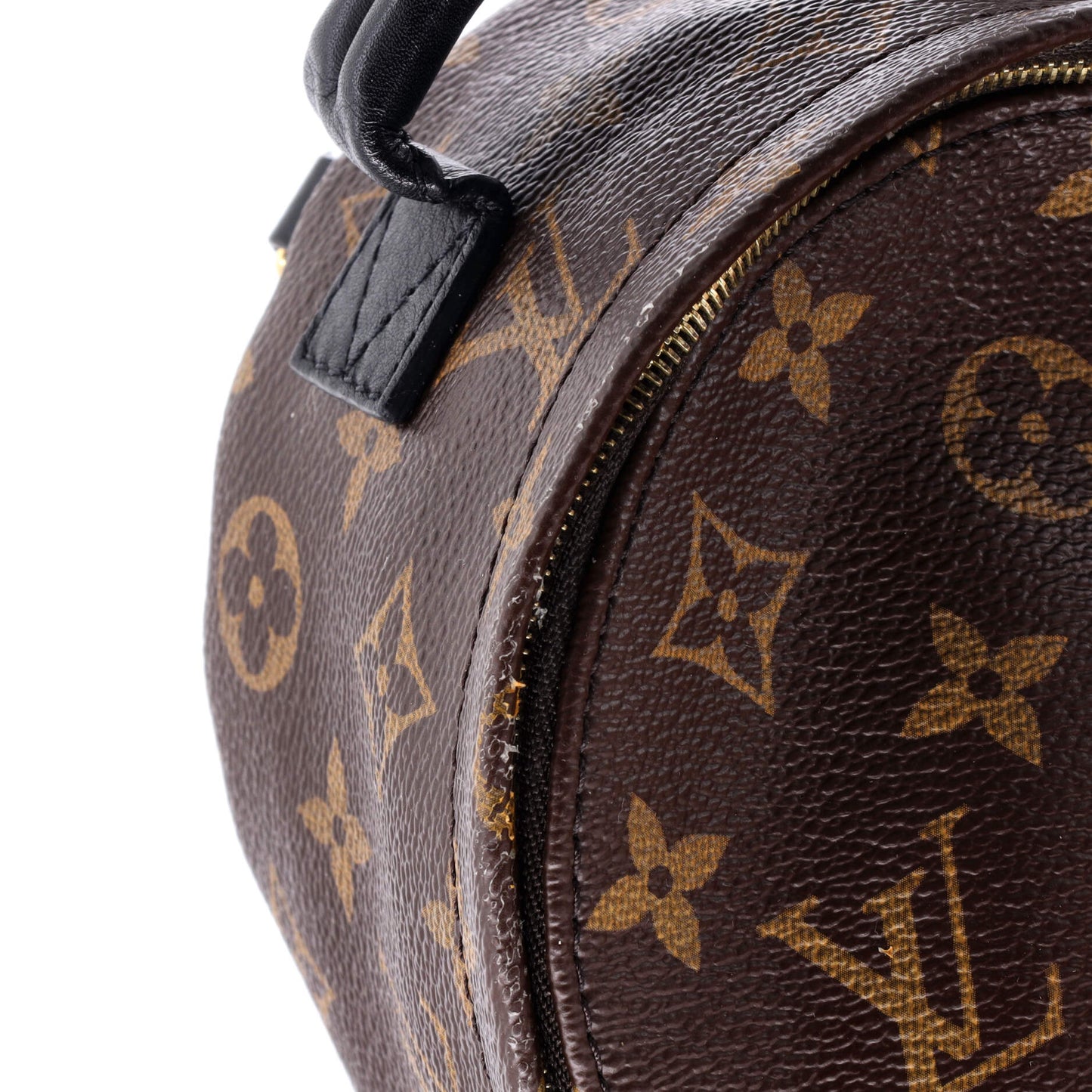 Palm Springs Backpack Monogram Canvas Mini