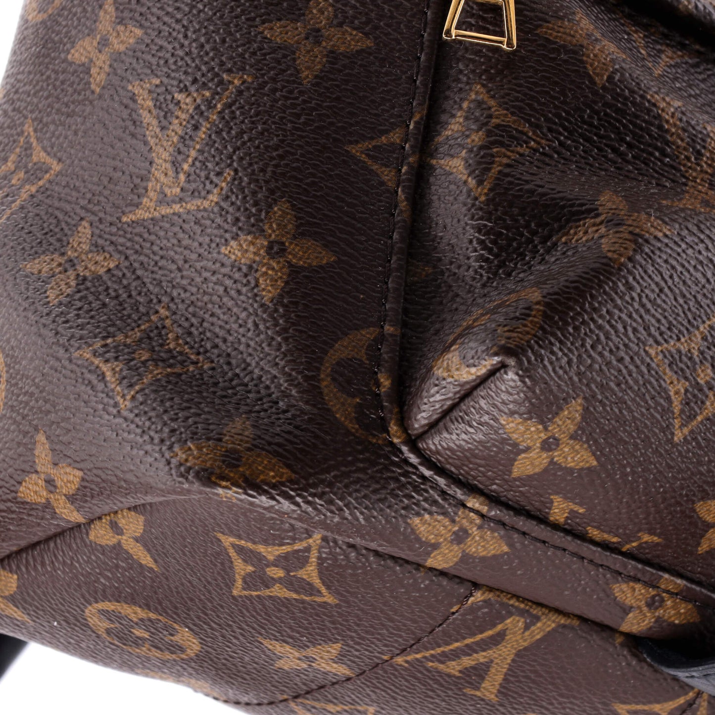 Palm Springs Backpack Monogram Canvas PM