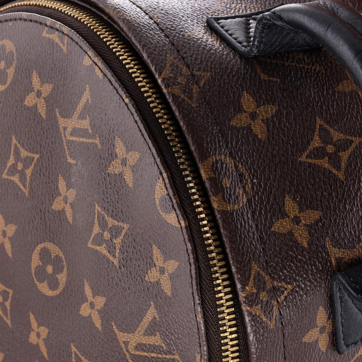 Palm Springs Backpack Monogram Canvas PM