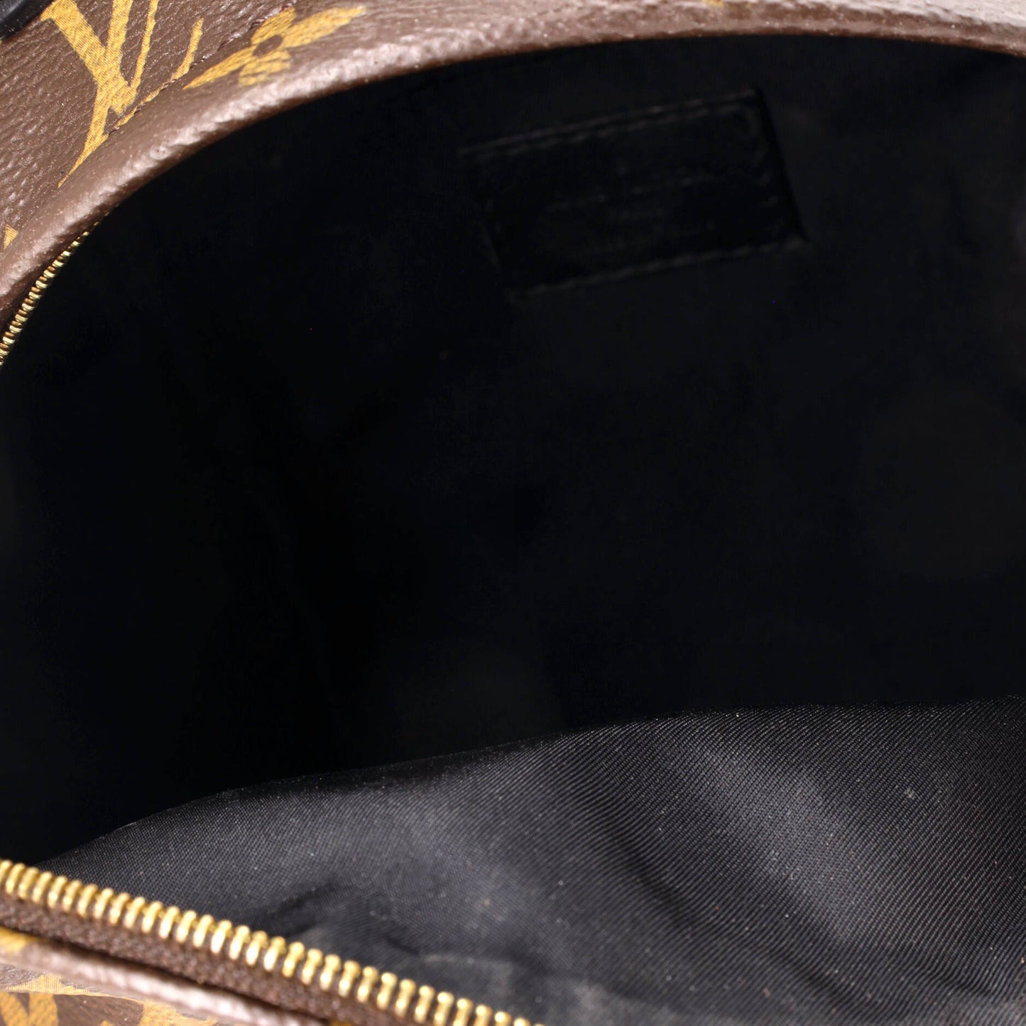 Palm Springs Backpack Monogram Canvas Mini
