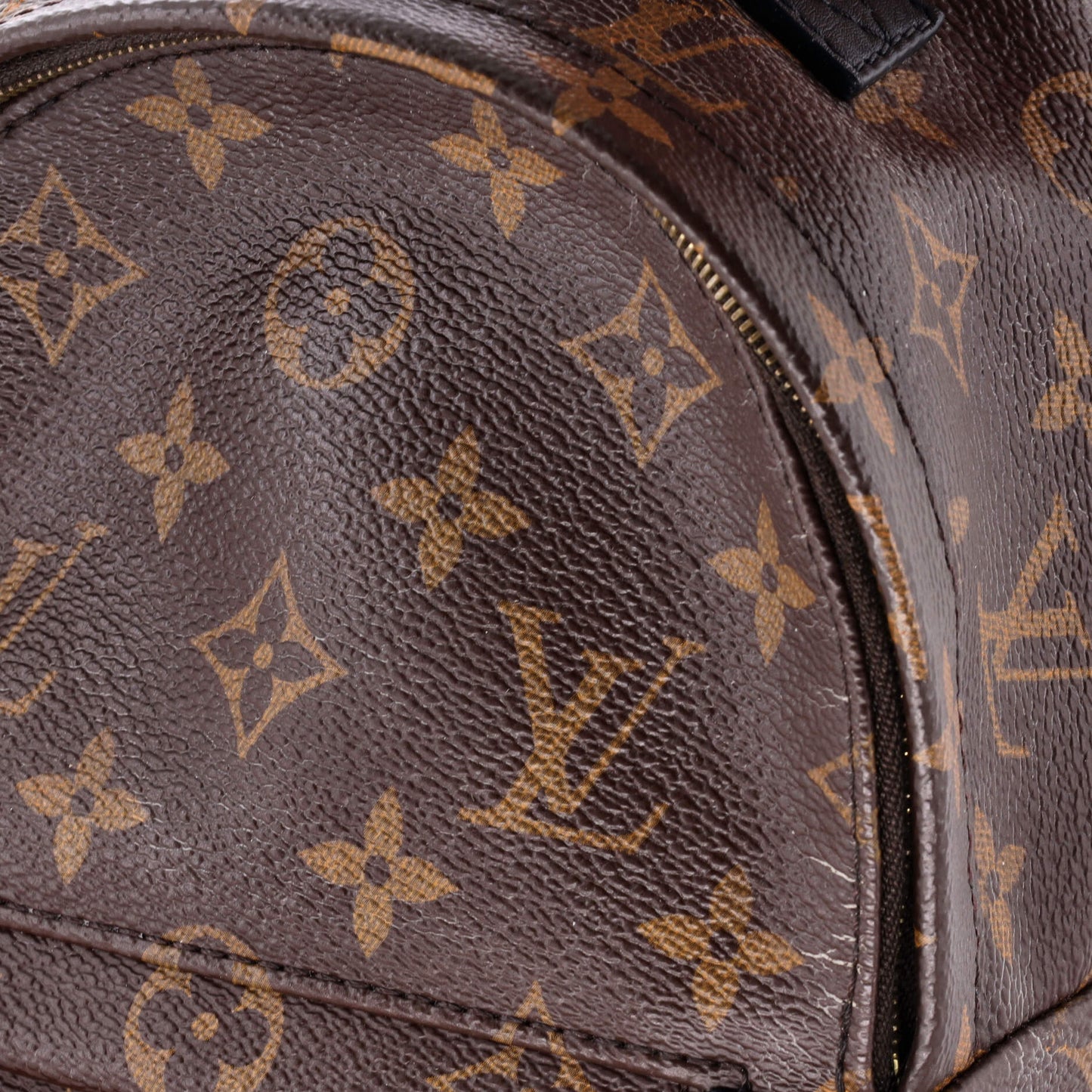 Palm Springs Backpack Monogram Canvas Mini
