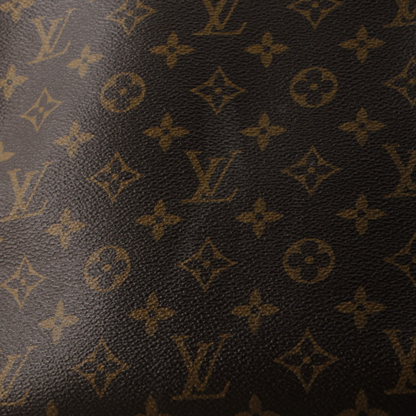 Popincourt NM Handbag Monogram Canvas MM