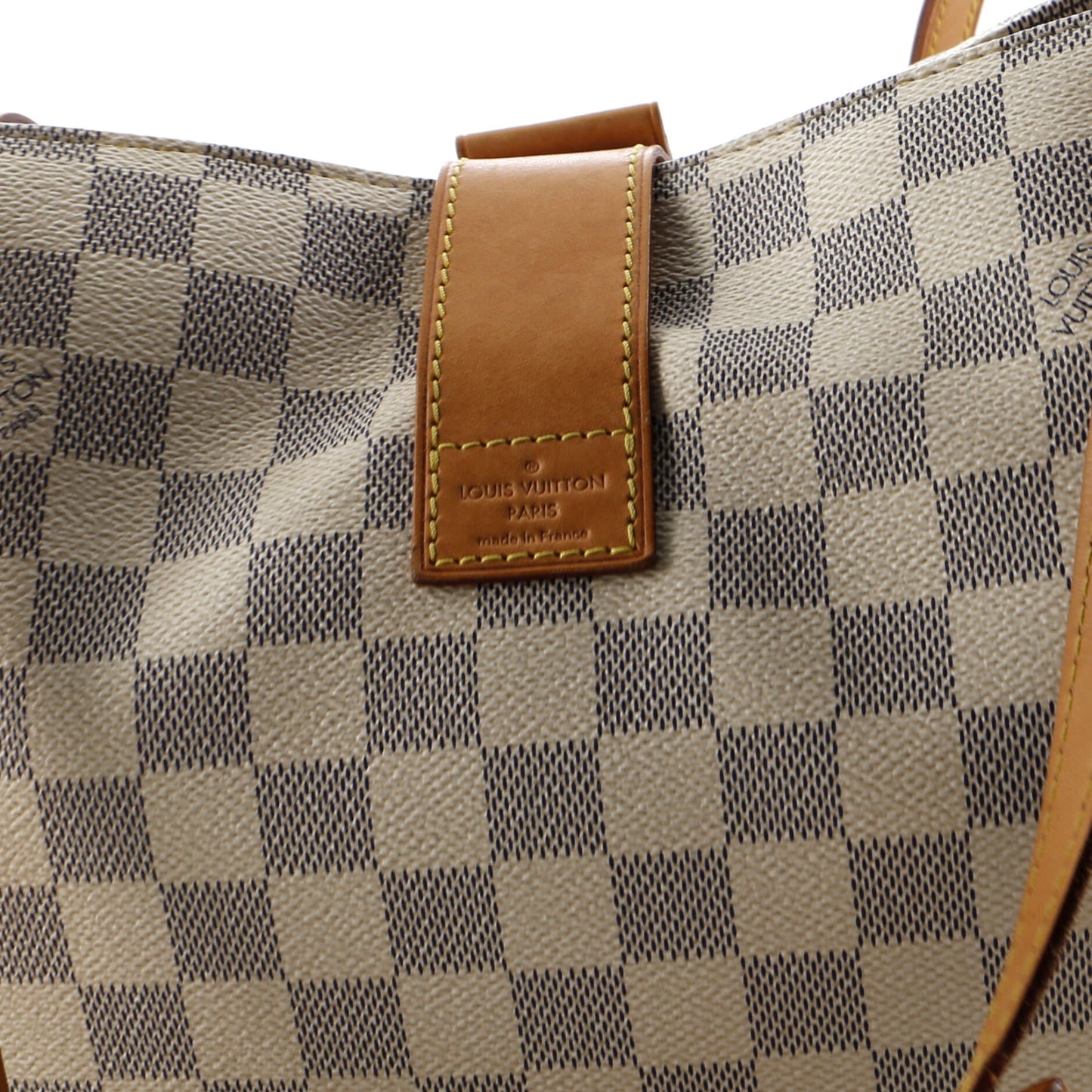 Salina Handbag Damier PM