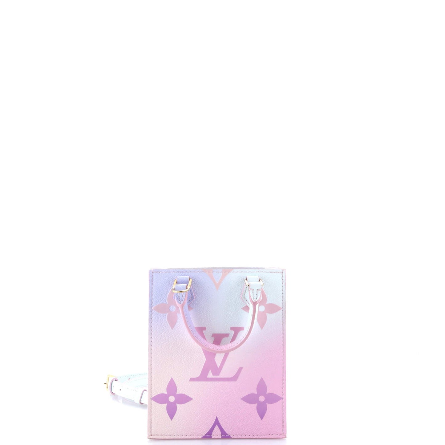 Petit Sac Plat Bag Spring in the City Monogram Giant Canvas