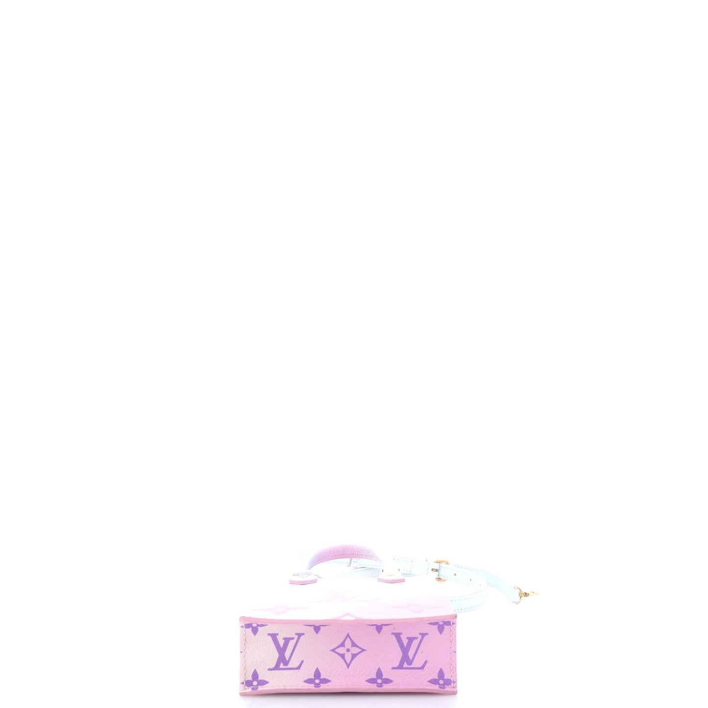 Petit Sac Plat Bag Spring in the City Monogram Giant Canvas