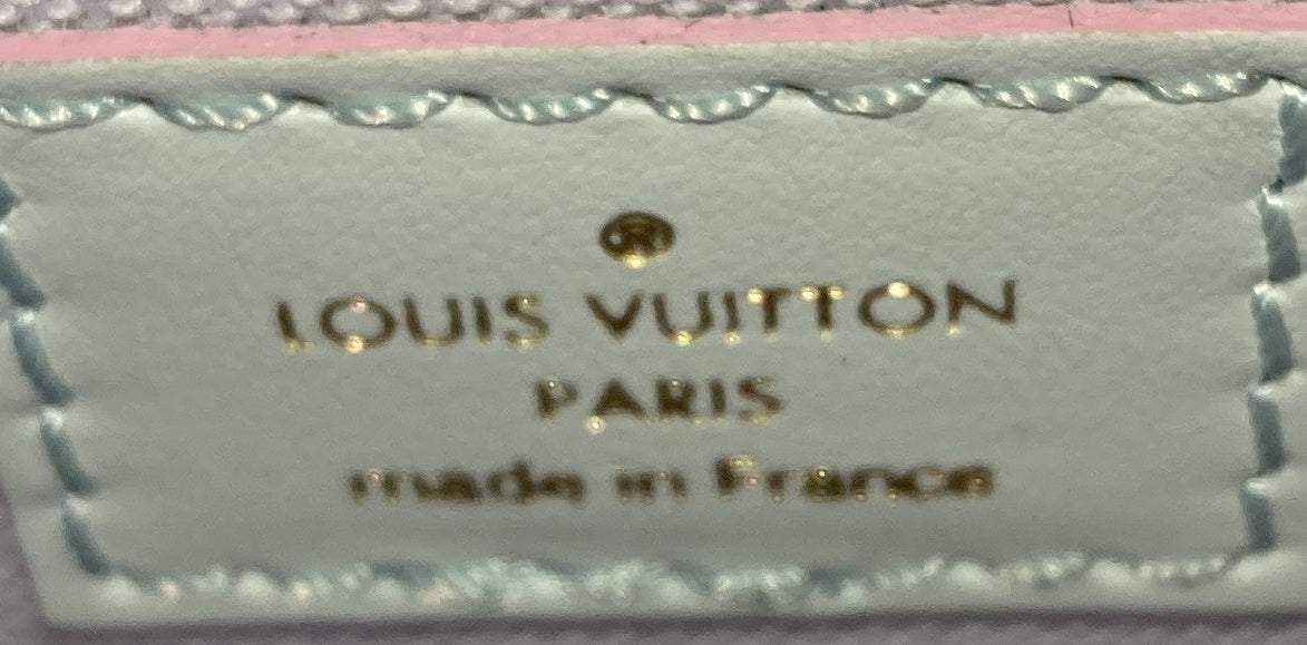 Petit Sac Plat Bag Spring in the City Monogram Giant Canvas