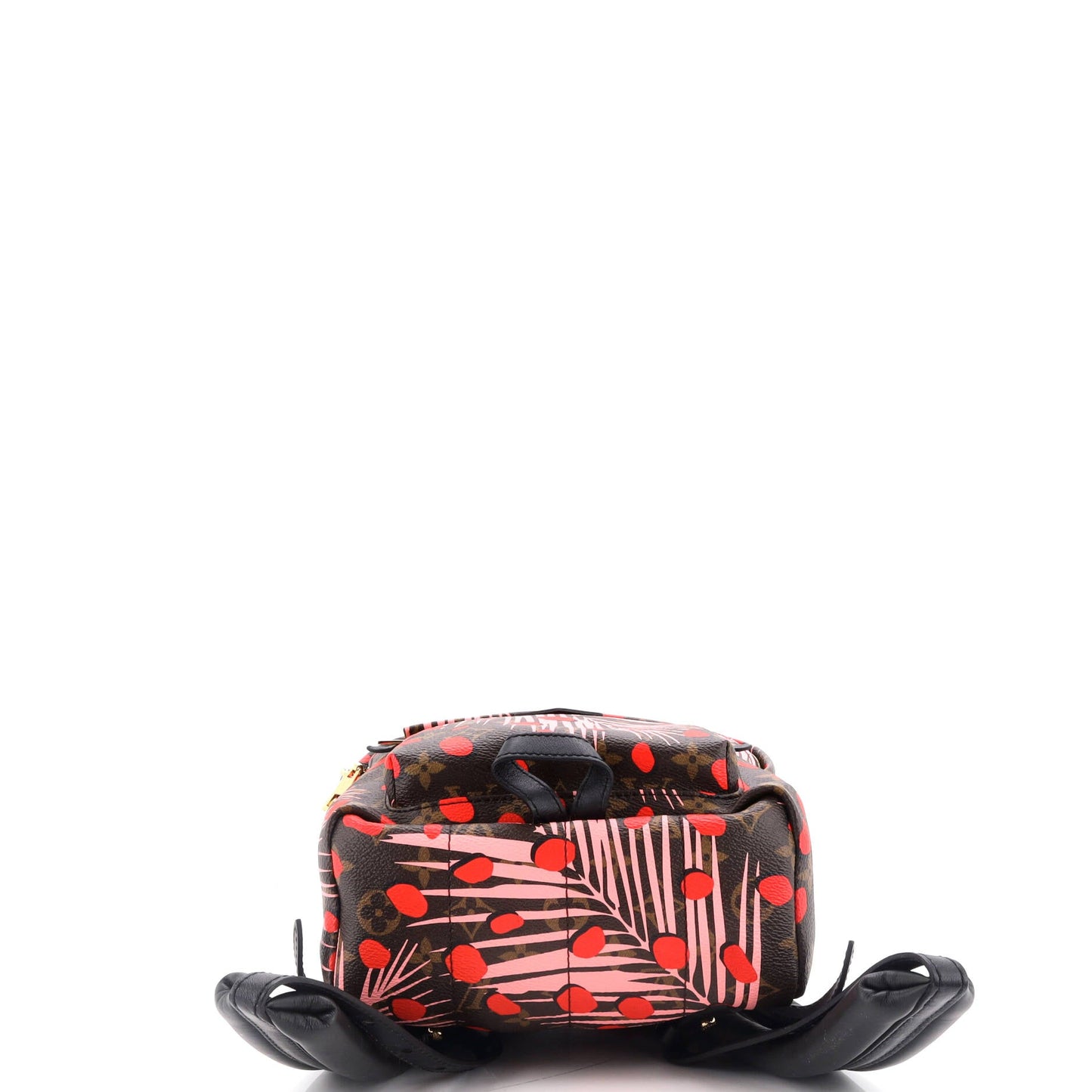 Palm Springs Backpack Limited Edition Monogram Jungle Dots PM