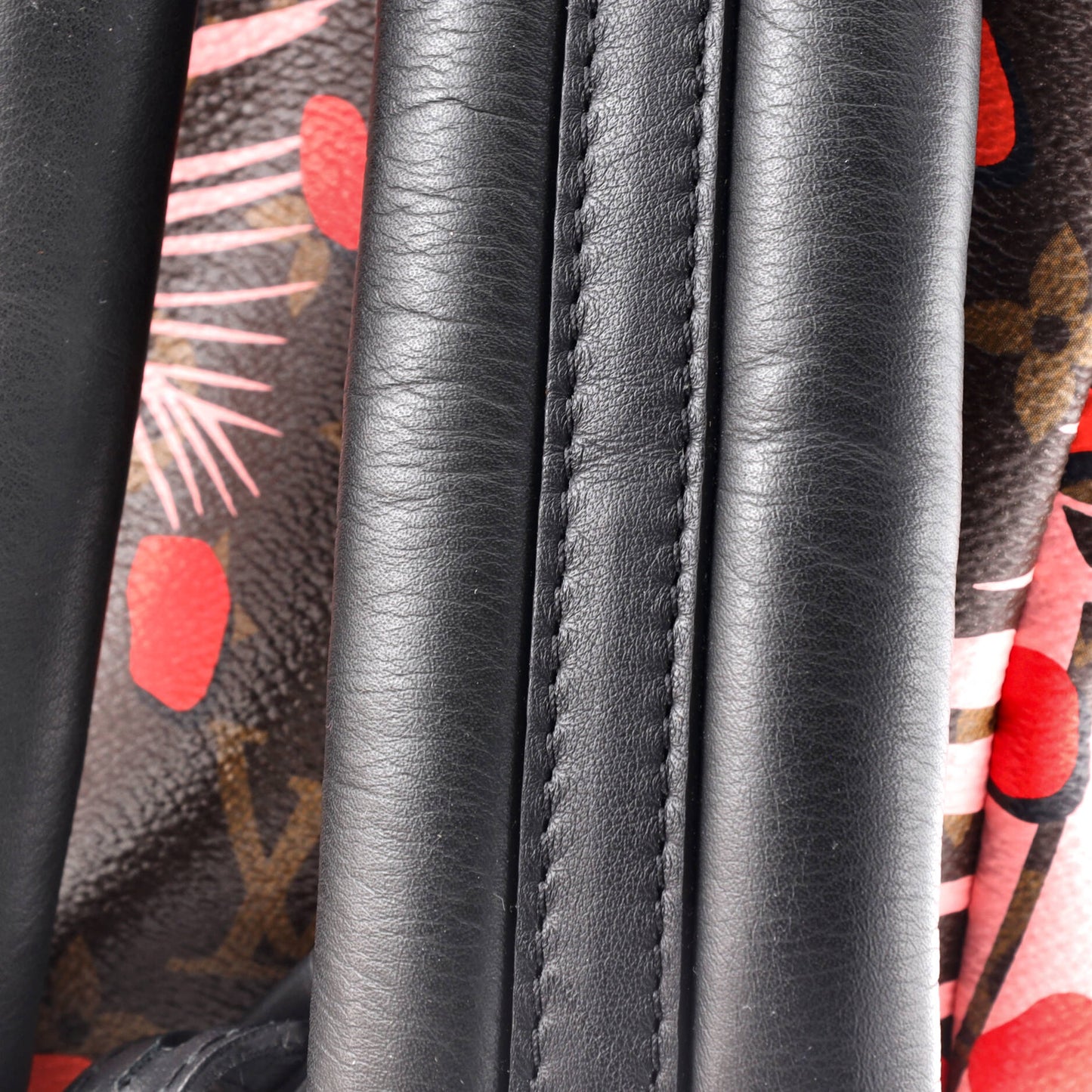 Palm Springs Backpack Limited Edition Monogram Jungle Dots PM