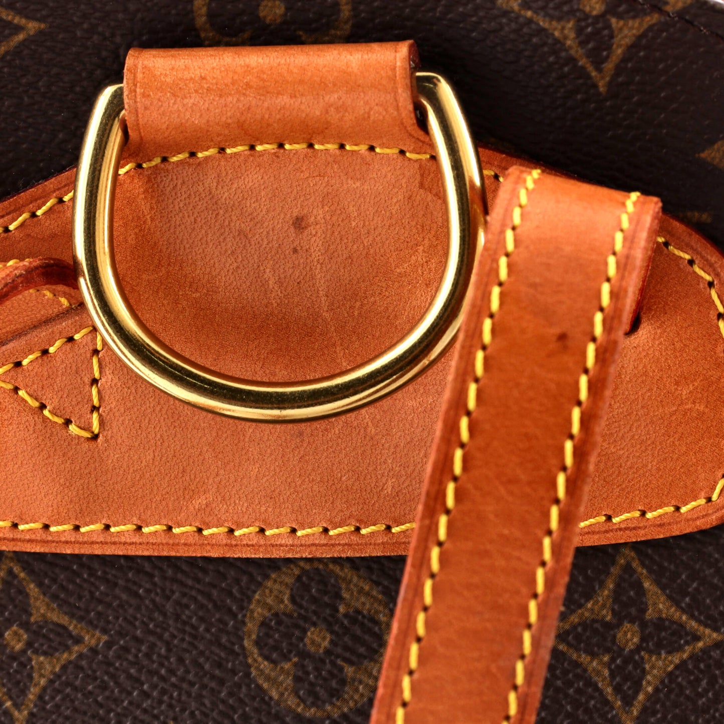 Ellipse Backpack Monogram Canvas