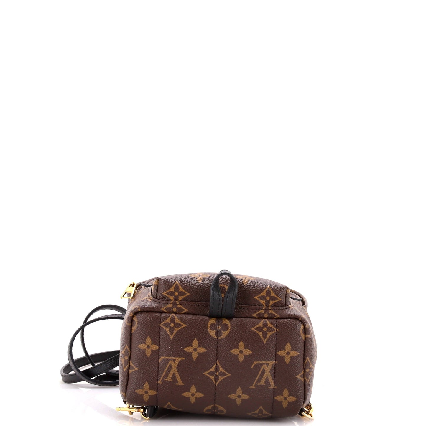 Palm Springs Backpack Monogram Canvas Mini