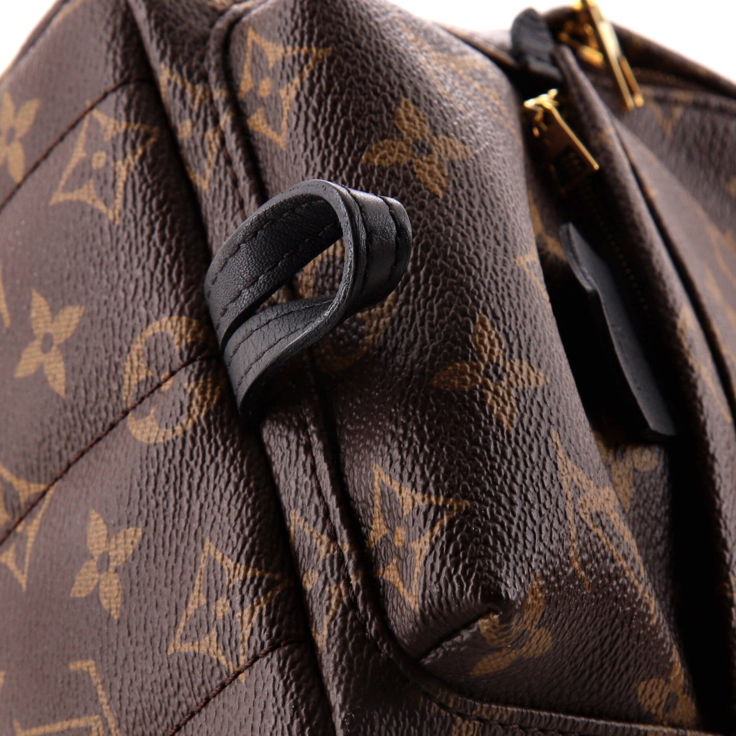 Palm Springs Backpack Monogram Canvas Mini