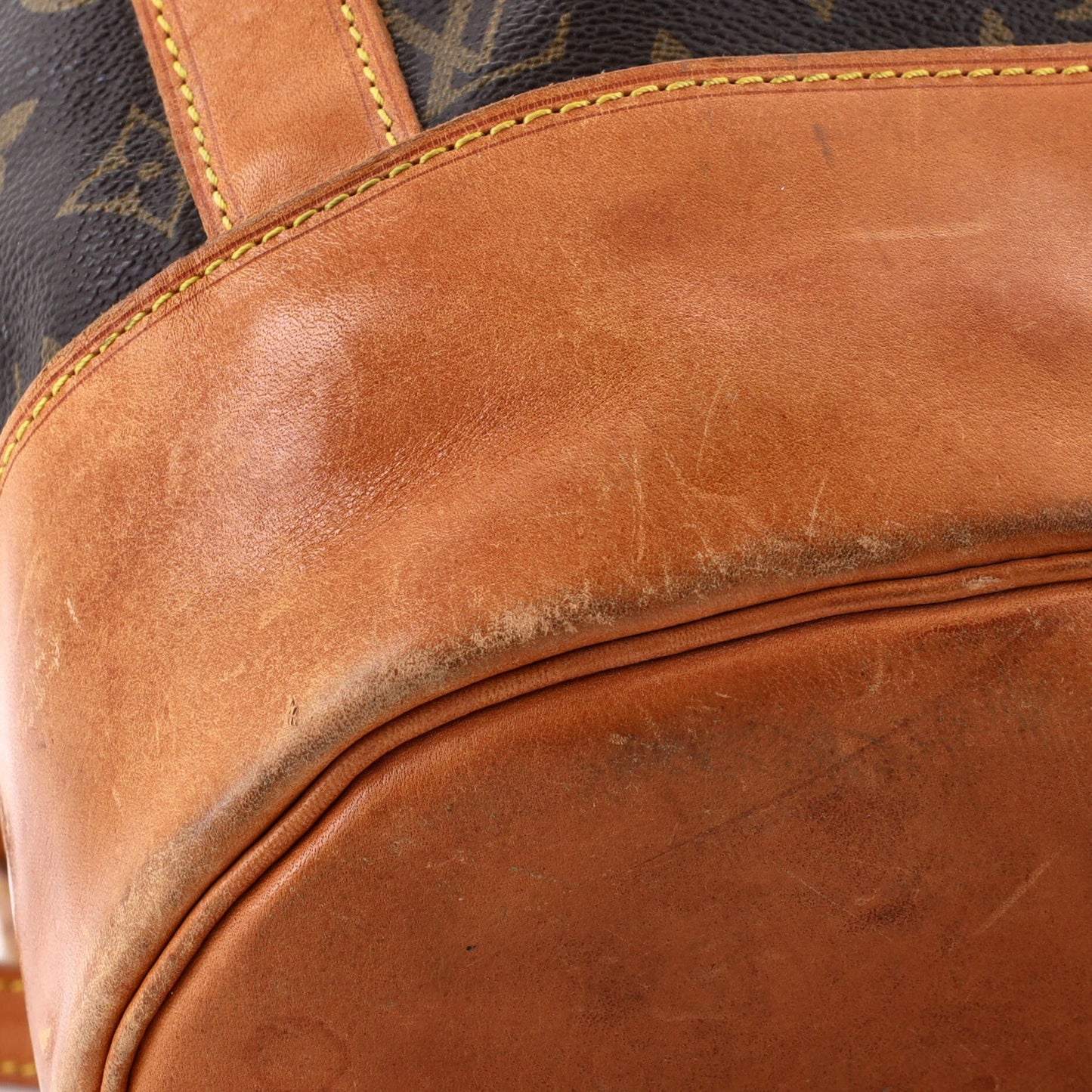 Randonnee Backpack Monogram Canvas GM