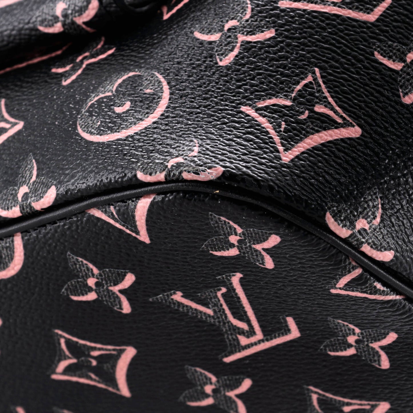 Neverfull NM Tote Fall for You Monogram Canvas MM