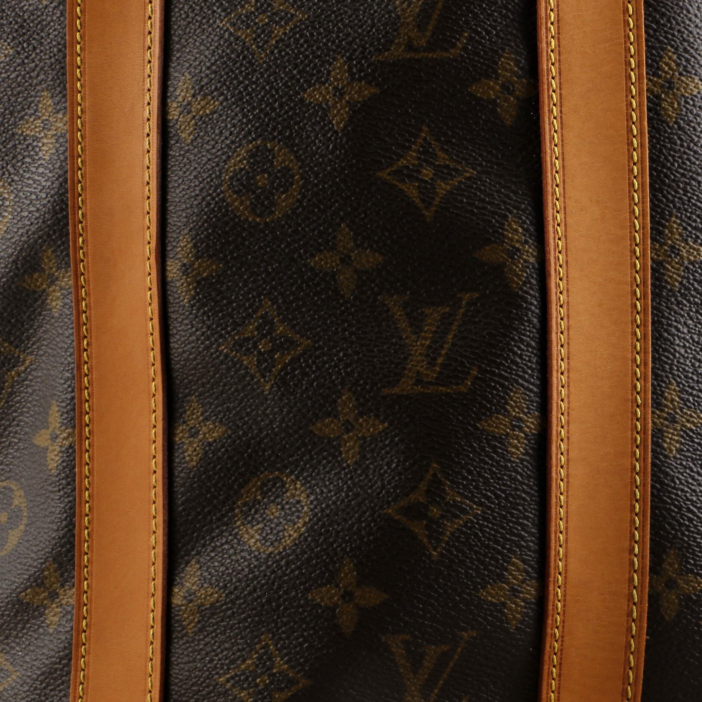 Randonnee Backpack Monogram Canvas PM