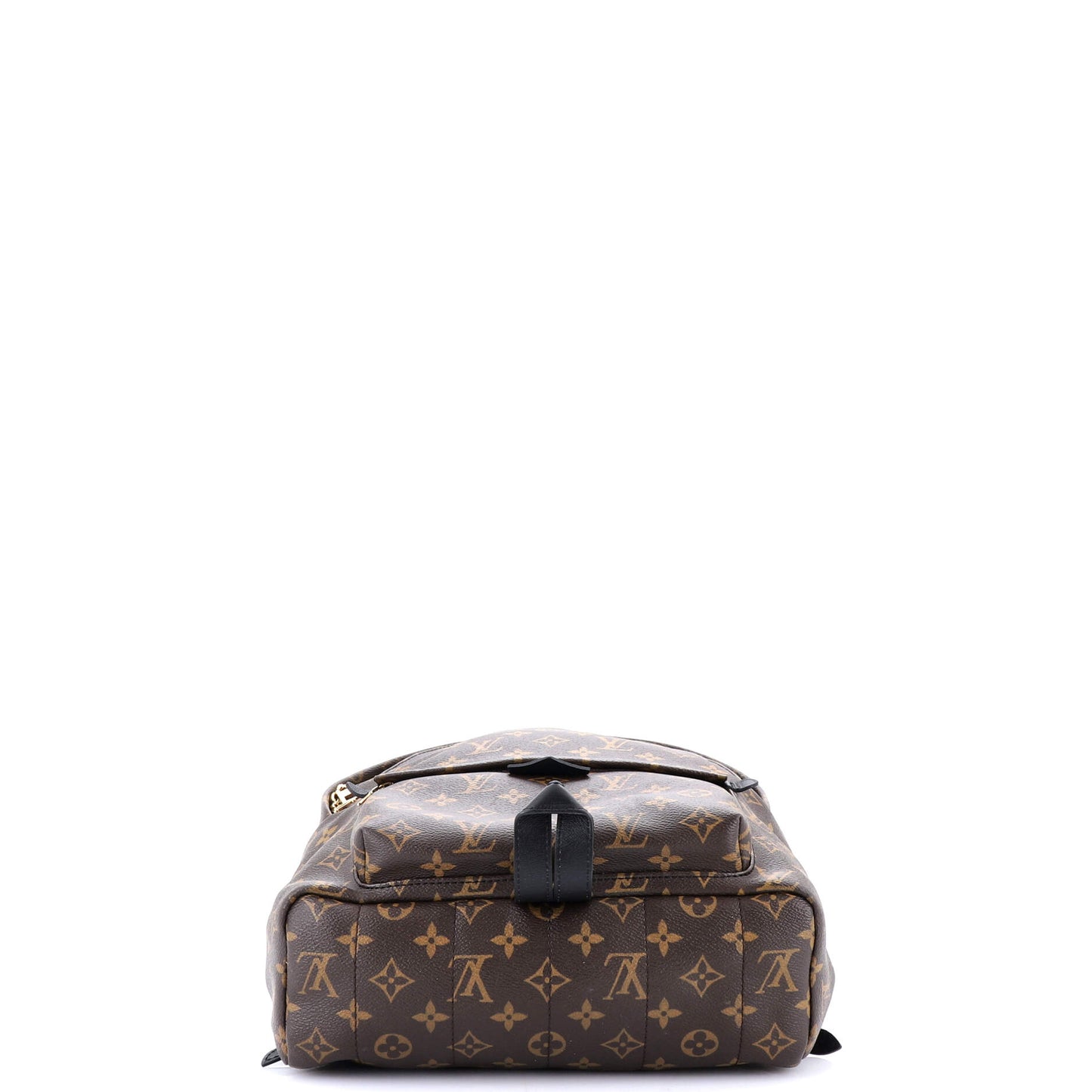 Palm Springs Backpack Monogram Canvas MM