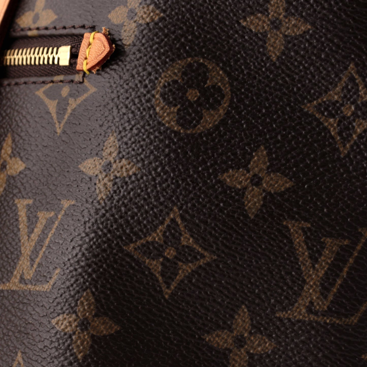 Iena Tote Monogram Canvas MM