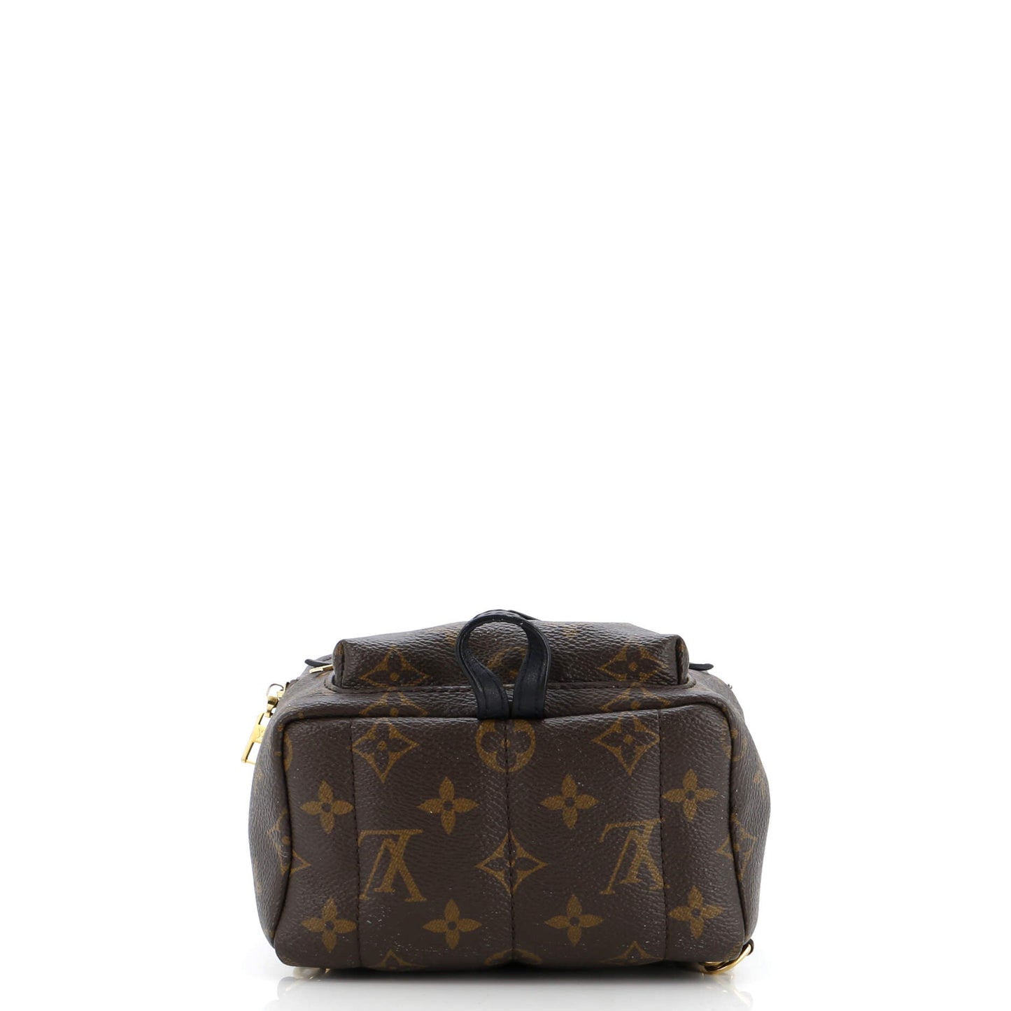 Palm Springs Backpack Monogram Canvas Mini