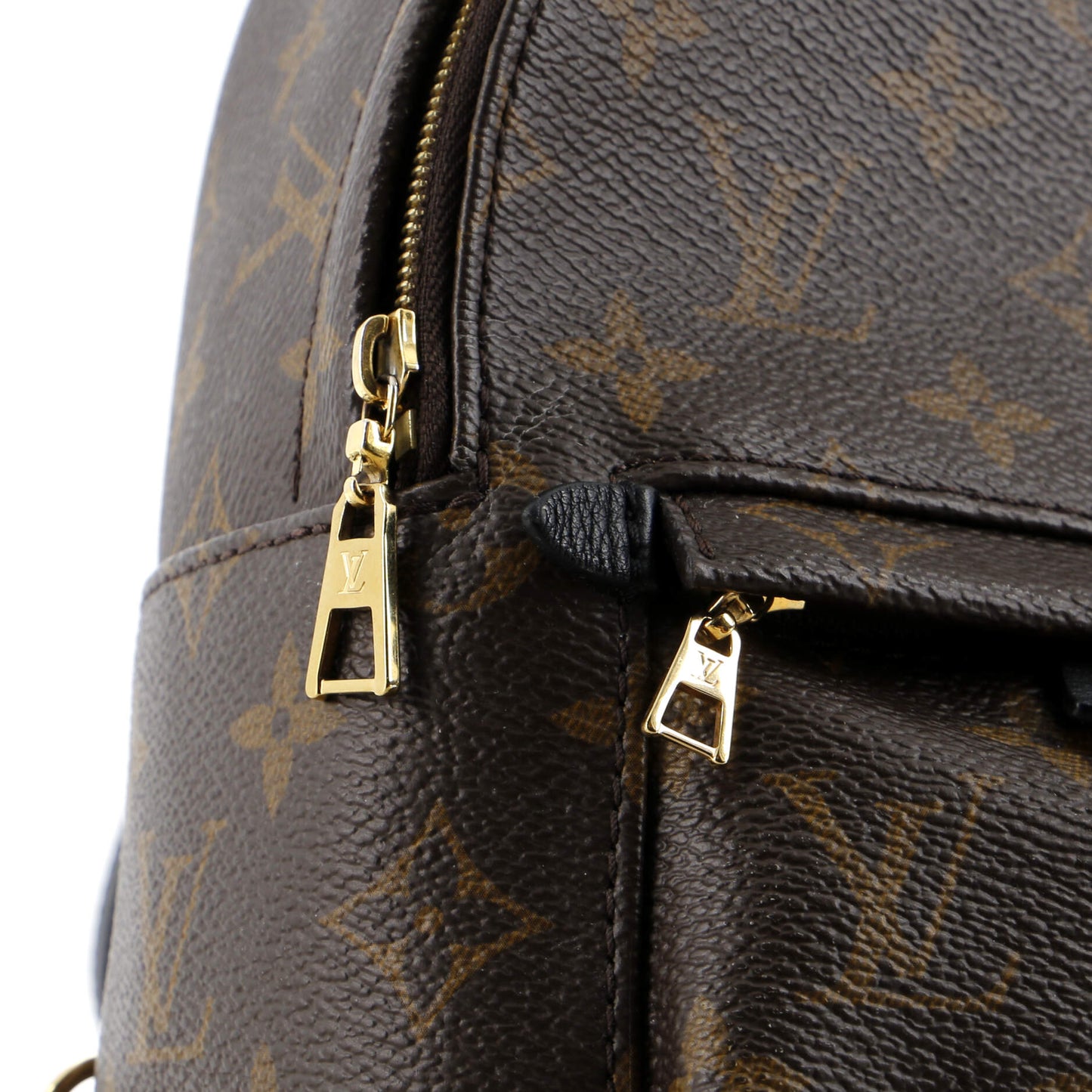 Palm Springs Backpack Monogram Canvas Mini