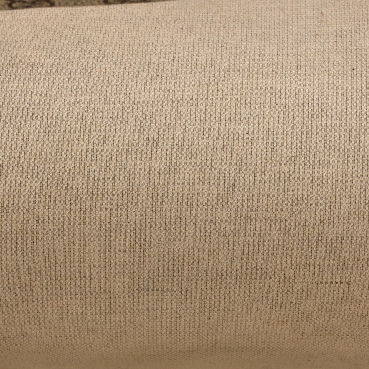 Web Loop Tote GG Coated Canvas Medium