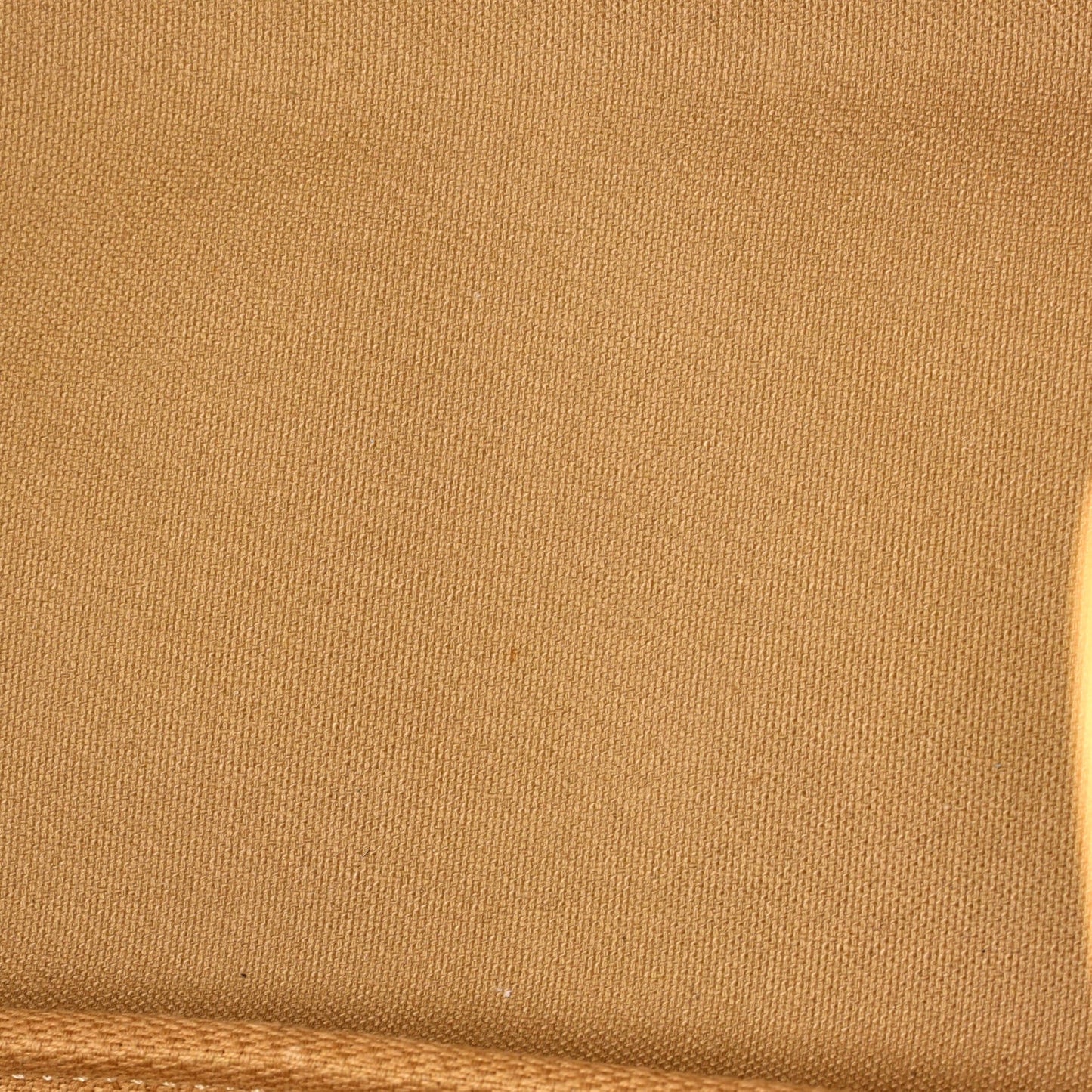 Neverfull Tote Monogram Canvas PM