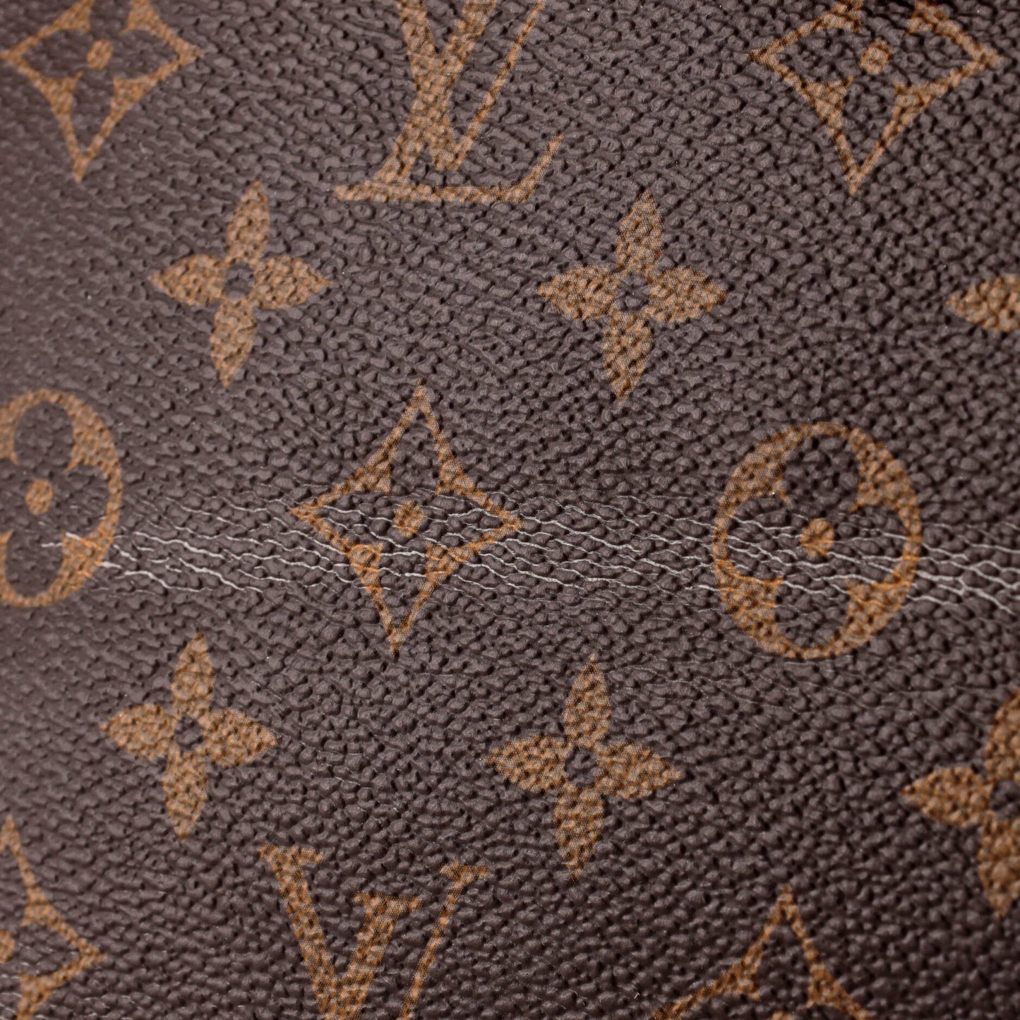 Iena Tote Monogram Canvas MM