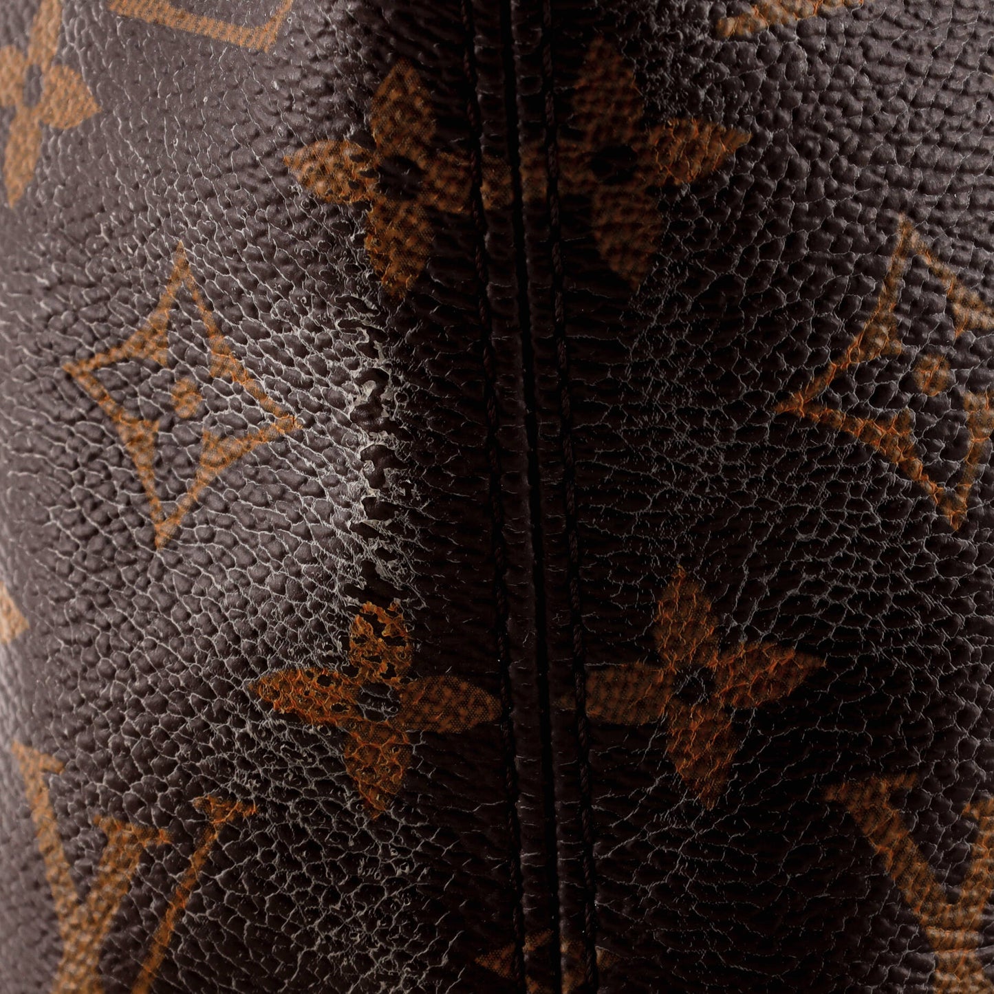 Iena Tote Monogram Canvas MM