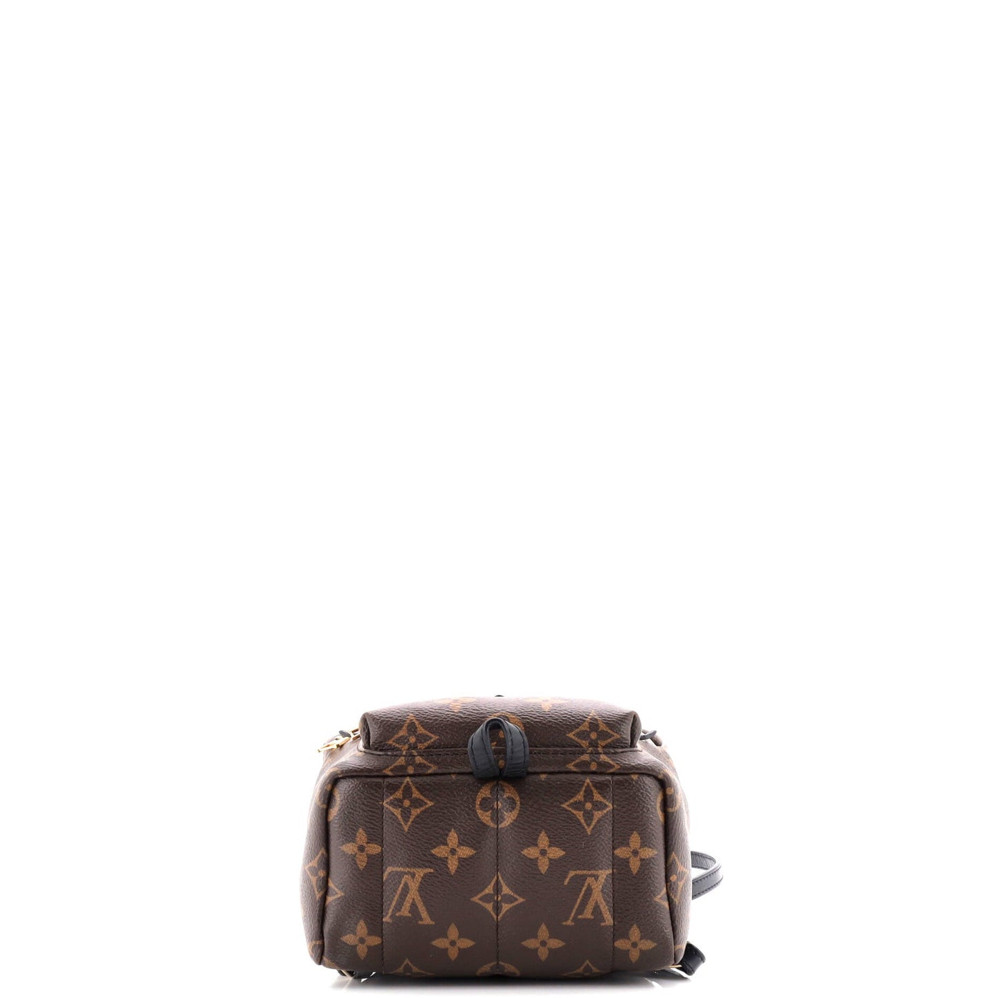 Palm Springs Backpack Monogram Canvas Mini
